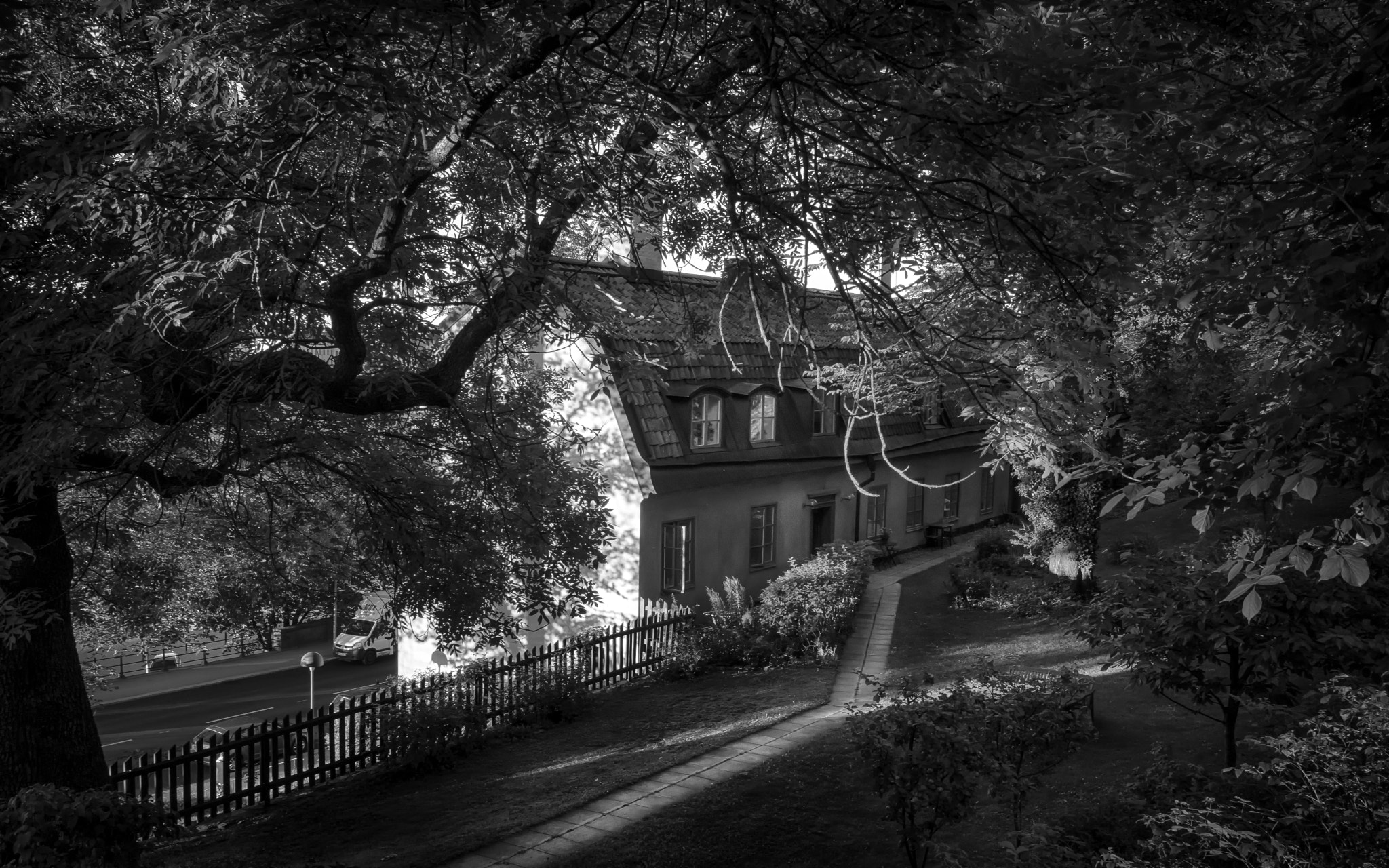 Sony ILCA-77M2 sample photo. Coming home photography
