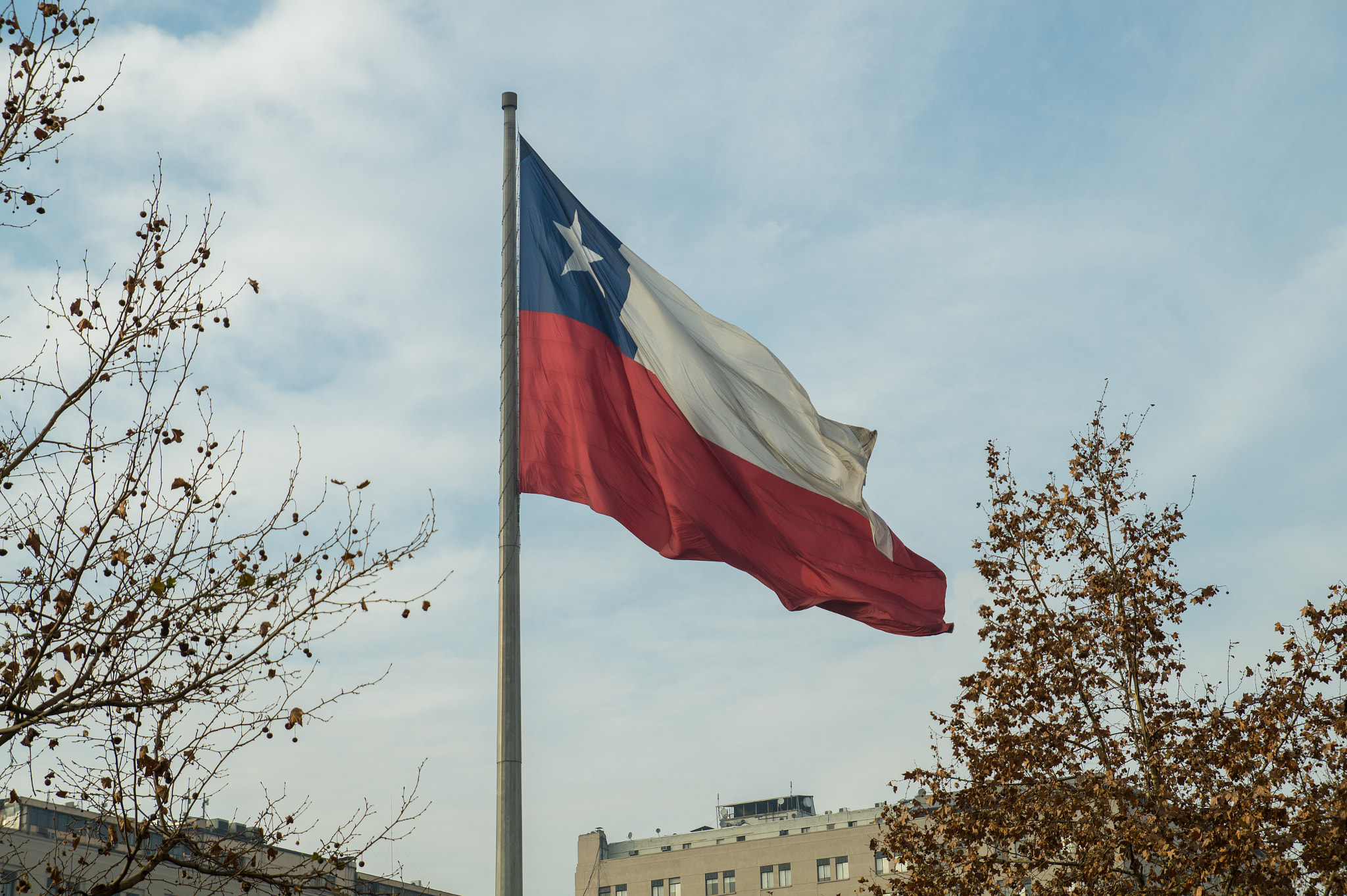 Sony SLT-A58 sample photo. Chili's flag photography