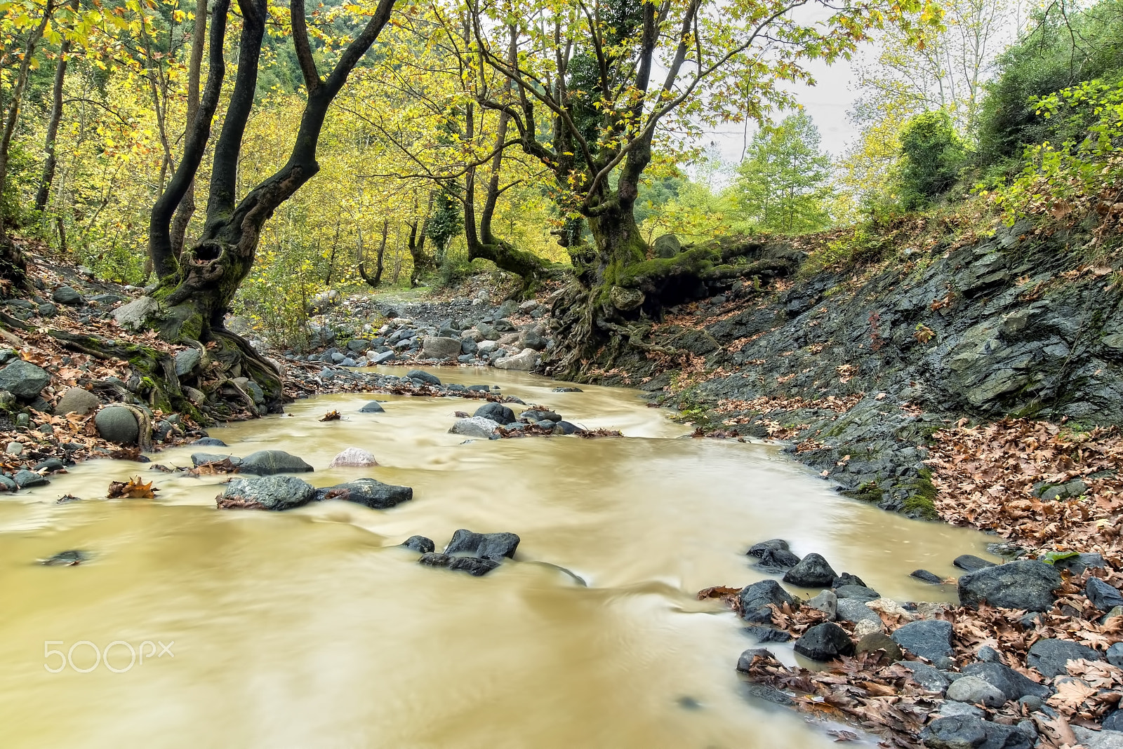 Nikon AF Nikkor 24-85mm F2.8-4D IF sample photo. Doğançay deresi (doğançay stream) photography
