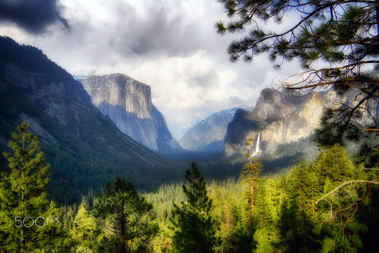Nikon D200 sample photo. Framed by nature photography