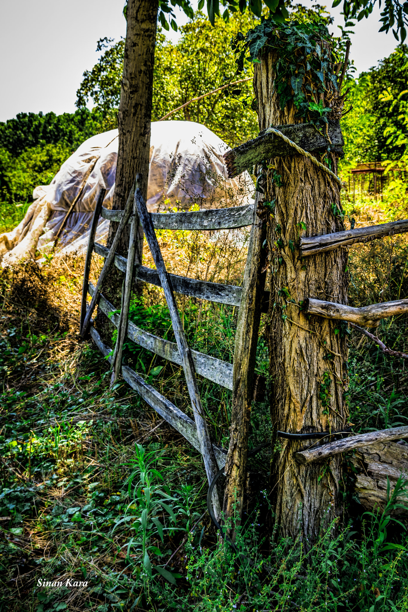 Sigma 17-70mm F2.8-4 DC Macro OS HSM sample photo. Tarla giris kapisi photography