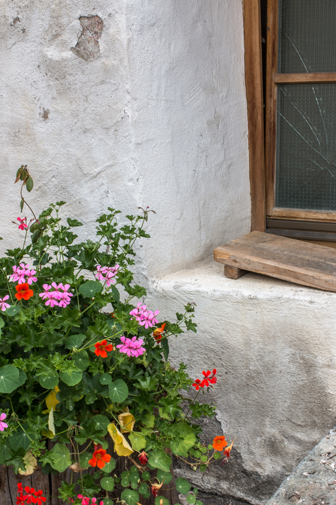 Canon EOS 70D + Canon EF 35mm F1.4L USM sample photo. By the old window photography