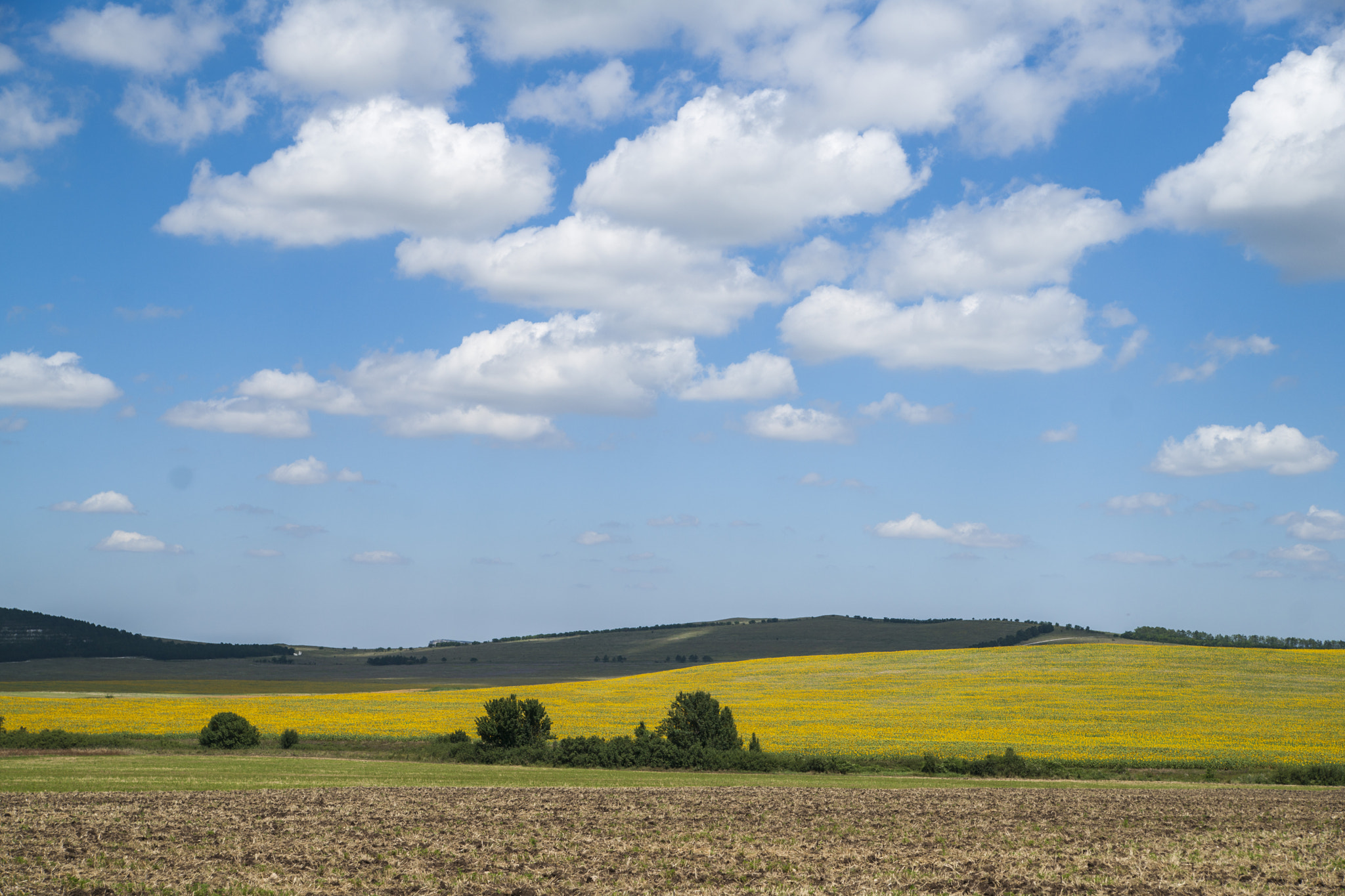 Sony Alpha DSLR-A900 sample photo. Bliss ii photography