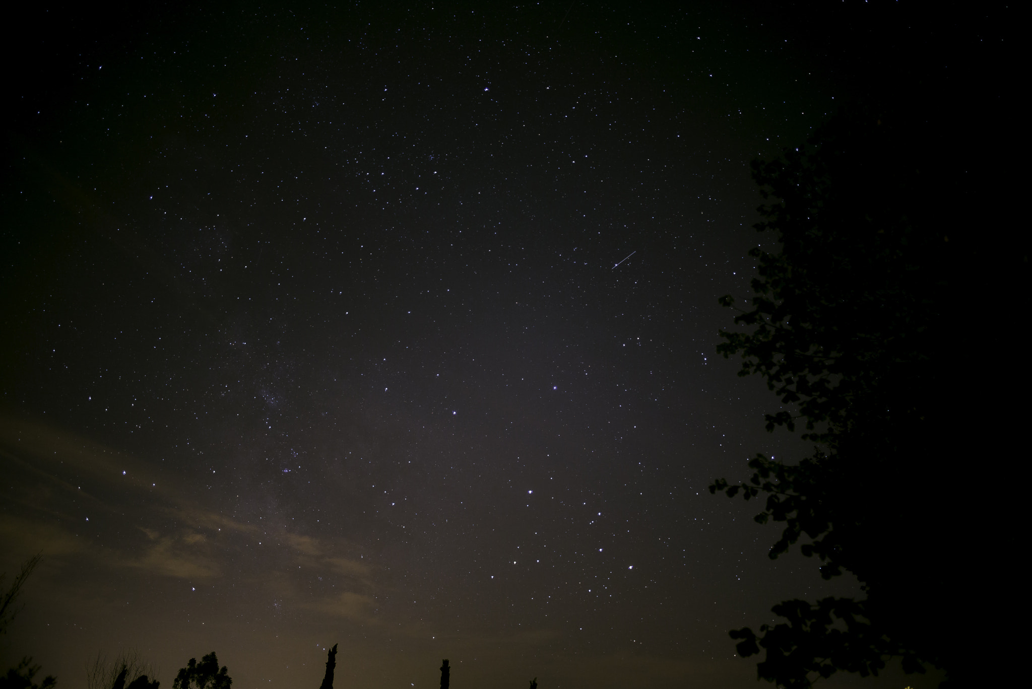 Leica Summilux-M 21mm F1.4 Asph sample photo. Provencal summer night sky photography