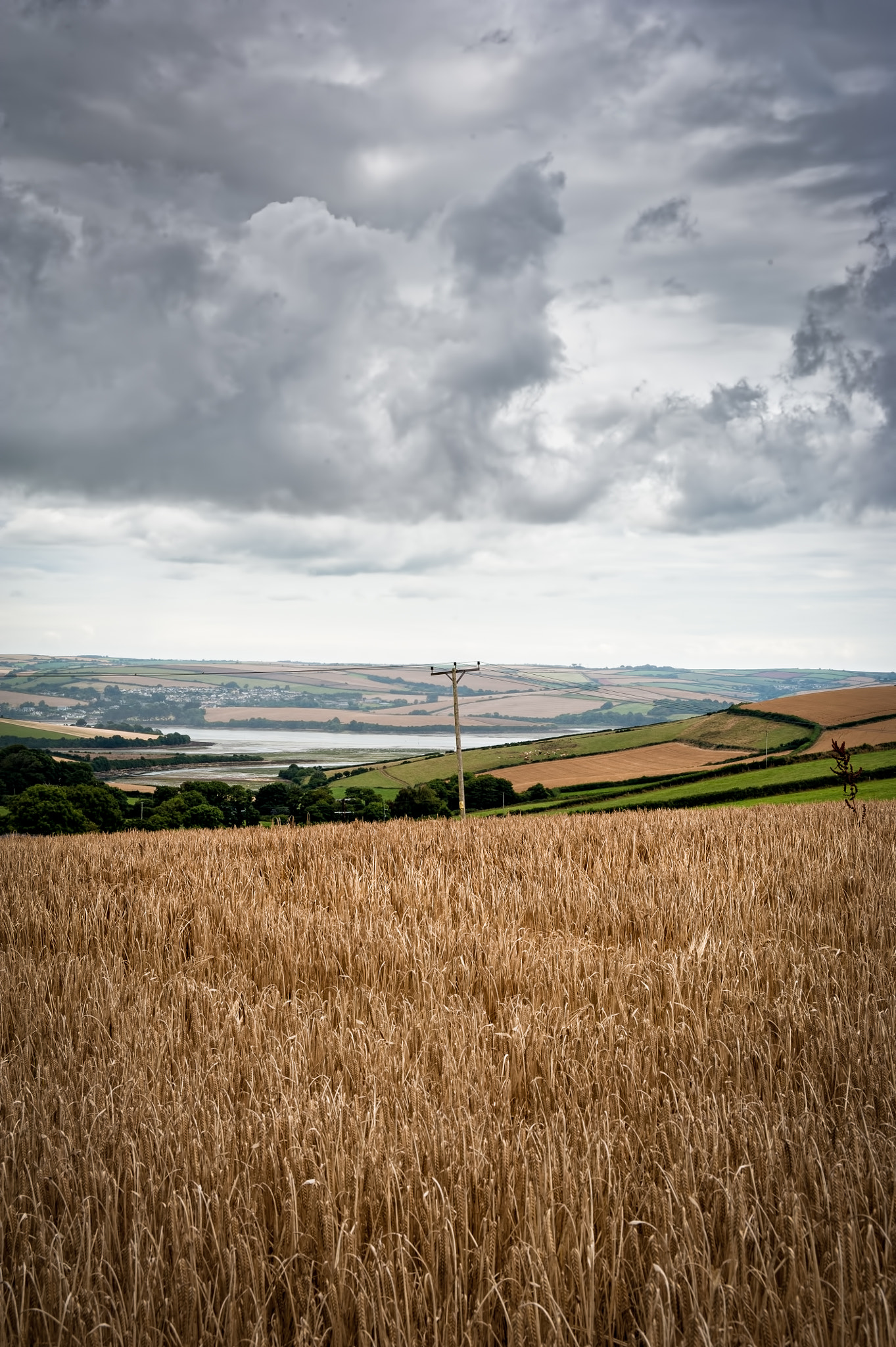 AF Zoom-Nikkor 28-105mm f/3.5-4.5D IF sample photo. Wheat fields photography