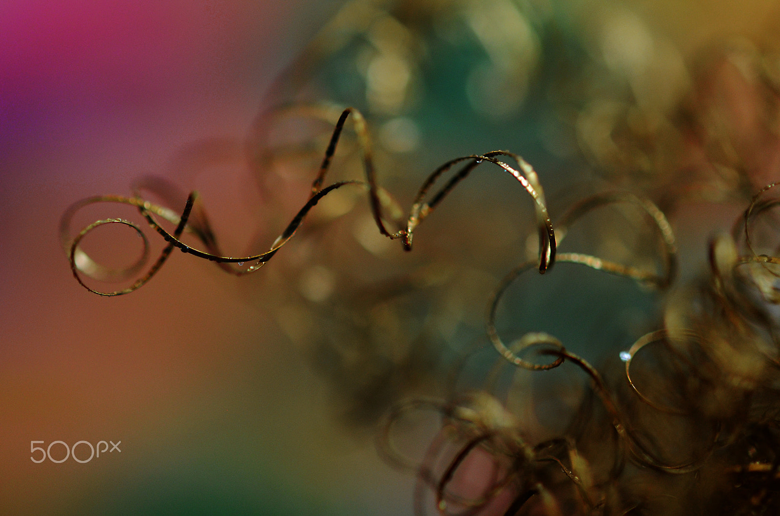 Nikon AF-S Micro-Nikkor 60mm F2.8G ED sample photo. The kitchen scrubber photography