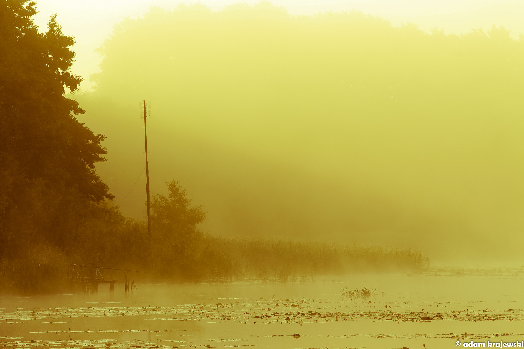 Canon EF 70-200mm F2.8L USM sample photo. Sunrise photography