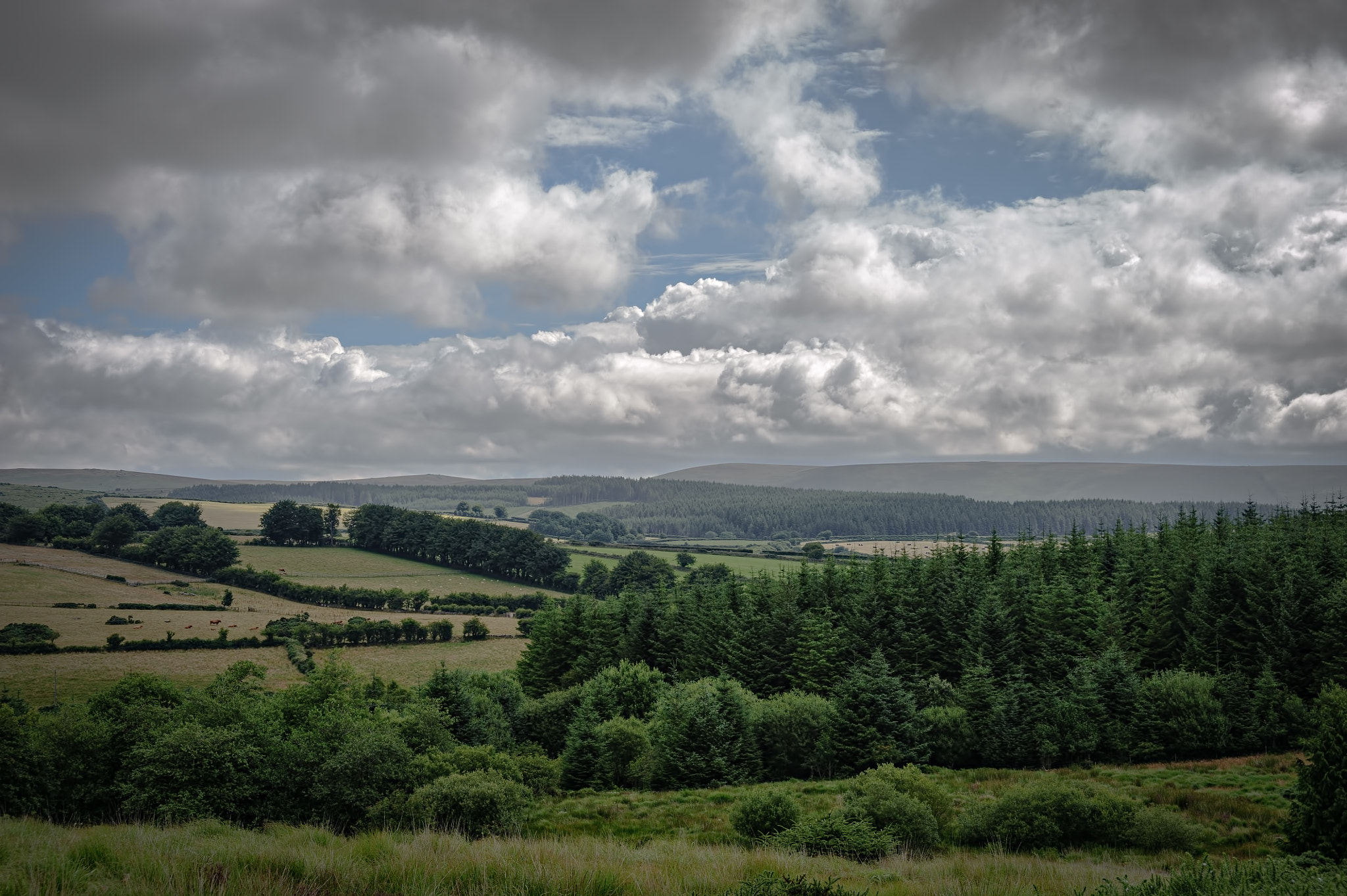 AF Zoom-Nikkor 28-105mm f/3.5-4.5D IF sample photo. Clouds on the moor photography
