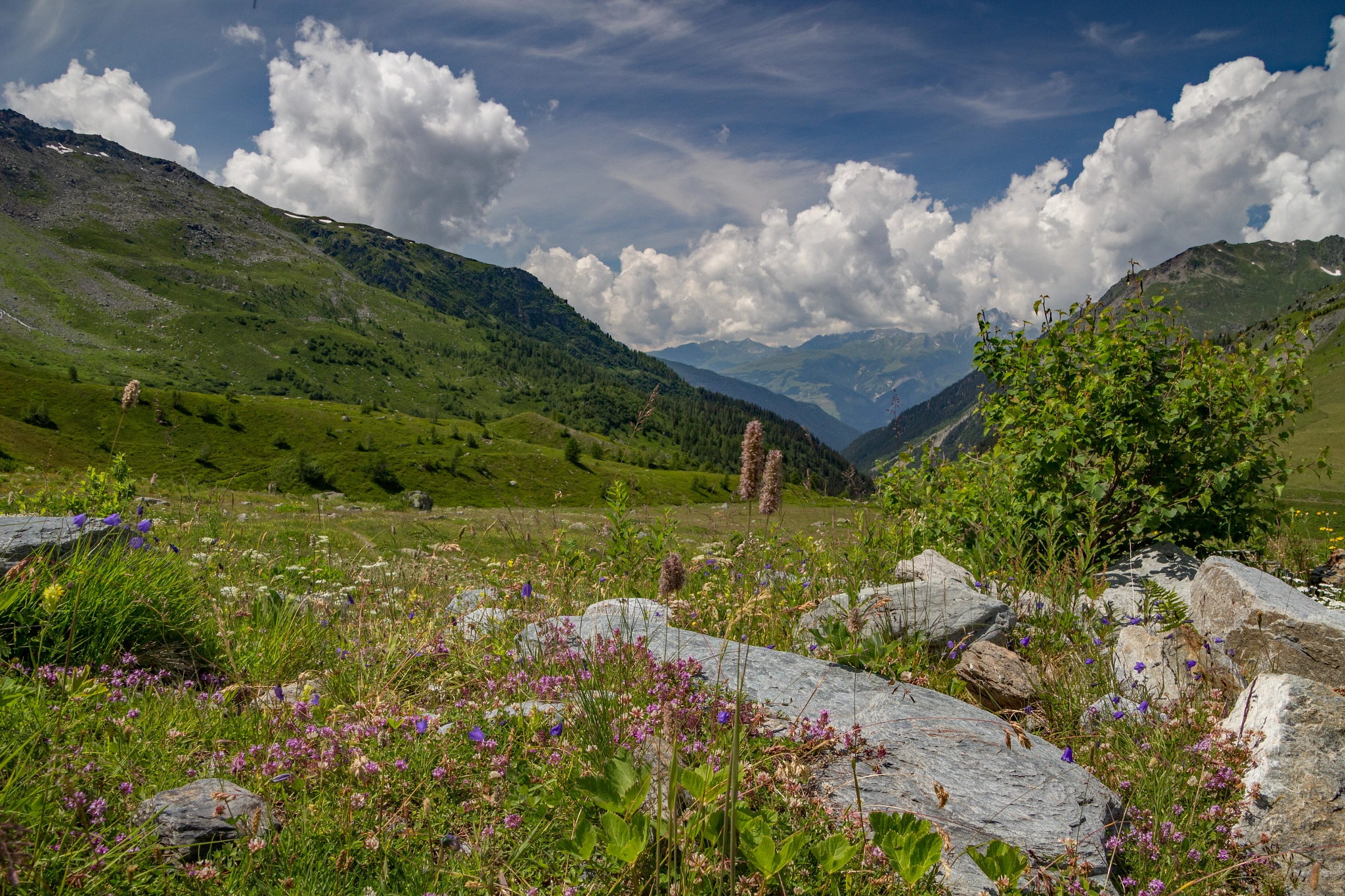 Canon EOS 100D (EOS Rebel SL1 / EOS Kiss X7) sample photo. Meadow above st foy, french alps photography
