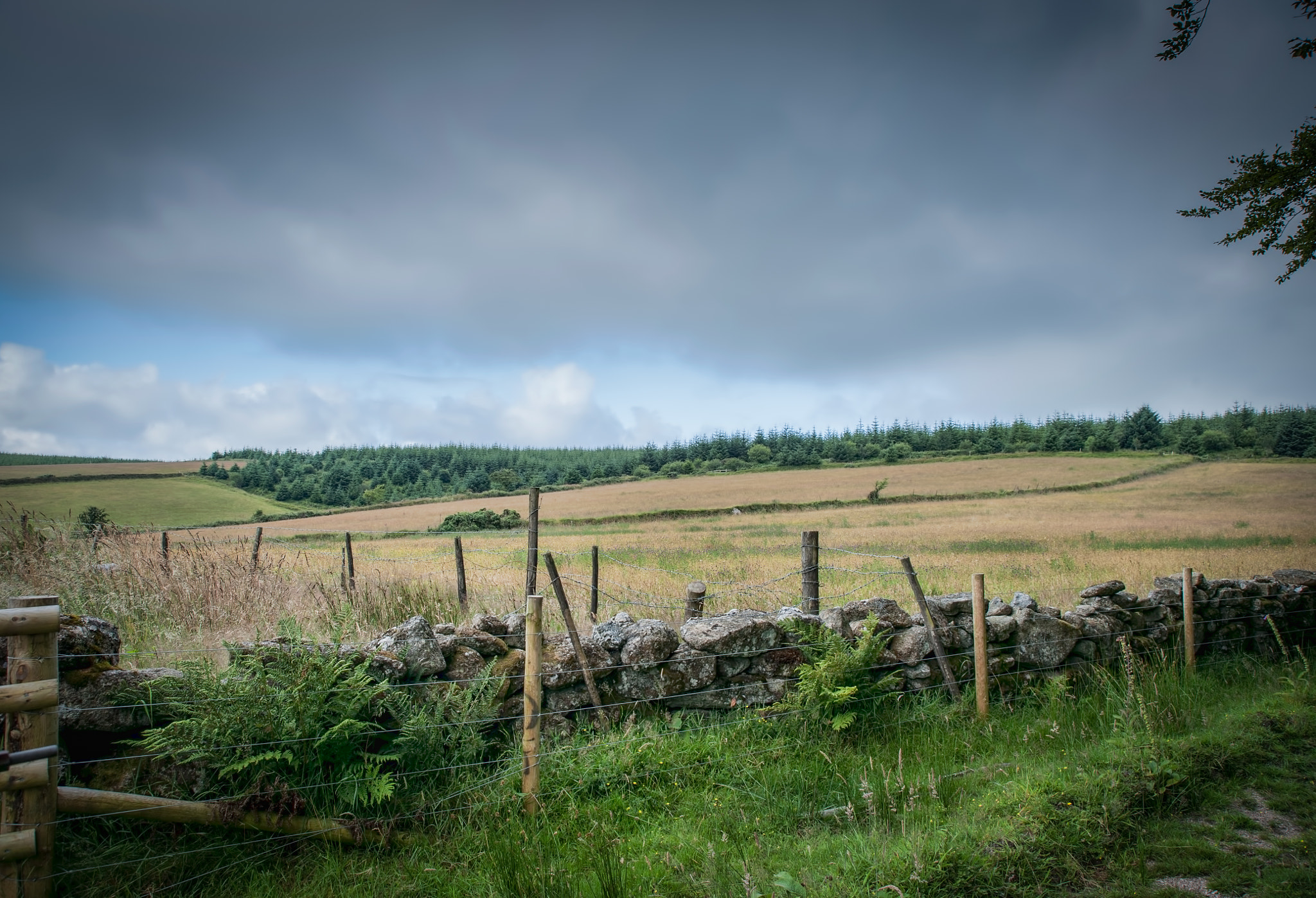 AF Zoom-Nikkor 28-105mm f/3.5-4.5D IF sample photo. Fields beyond photography