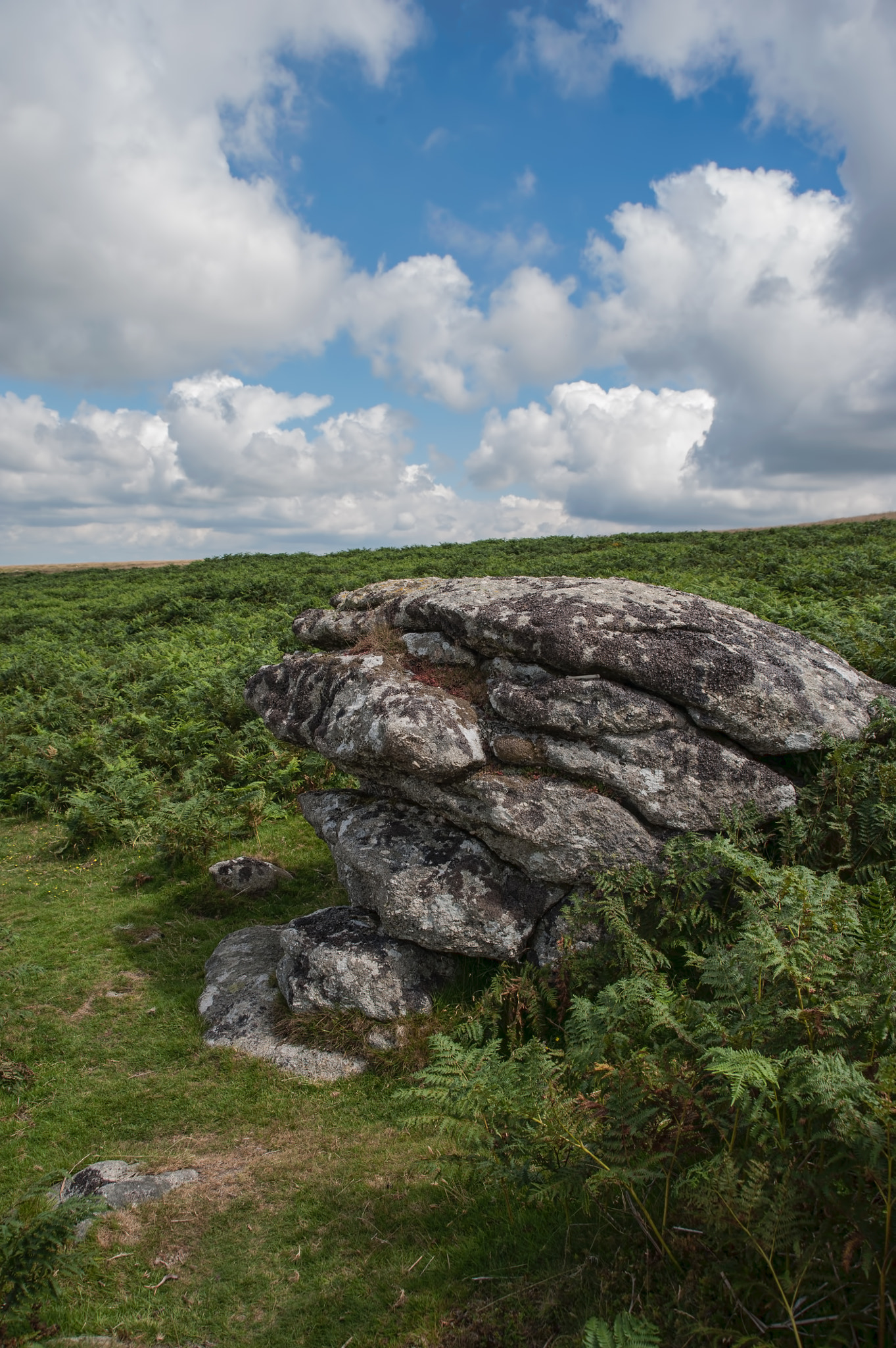 AF Zoom-Nikkor 28-105mm f/3.5-4.5D IF sample photo. Outcrop photography