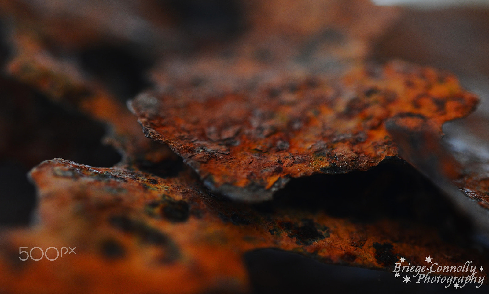 Nikon AF-S Micro-Nikkor 60mm F2.8G ED sample photo. A lovely bit of rust texture photography