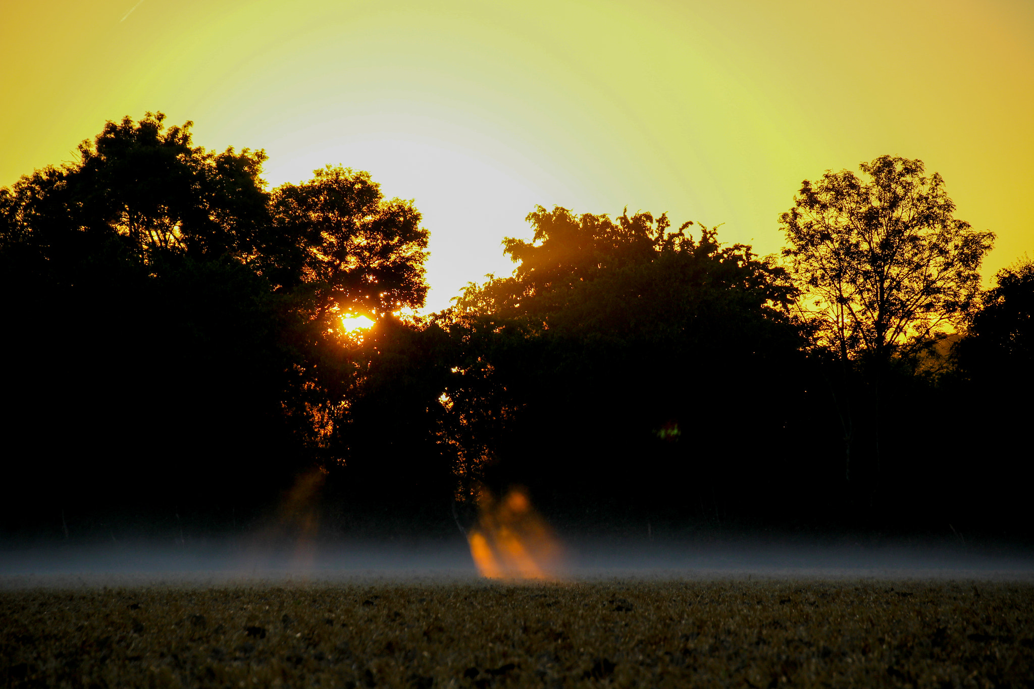 Canon EOS 100D (EOS Rebel SL1 / EOS Kiss X7) sample photo. Sunrise in the fog photography