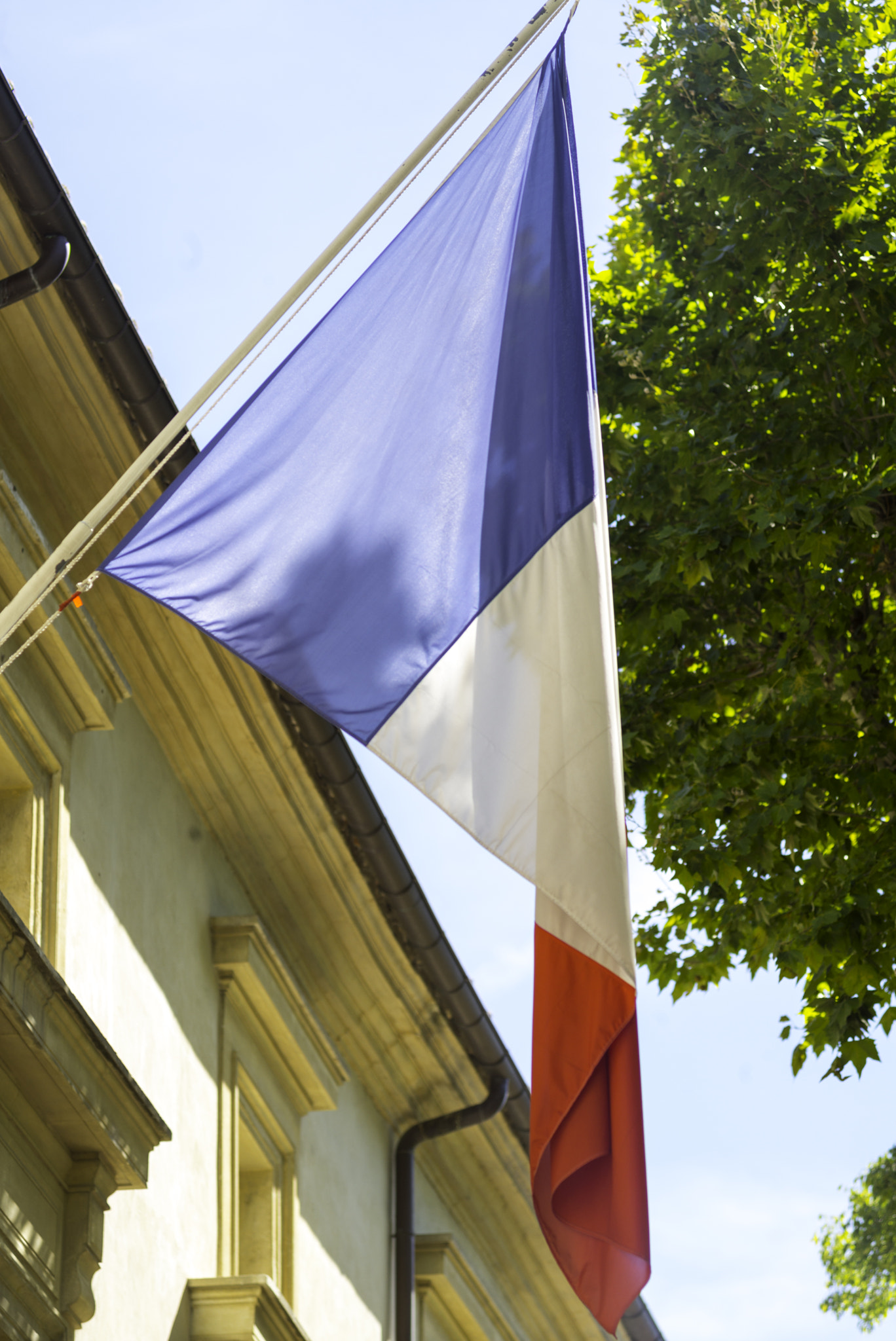 Leica M (Typ 240) + Leica APO-Telyt-M 135mm F3.4 ASPH sample photo. One of thousands always flying across france photography