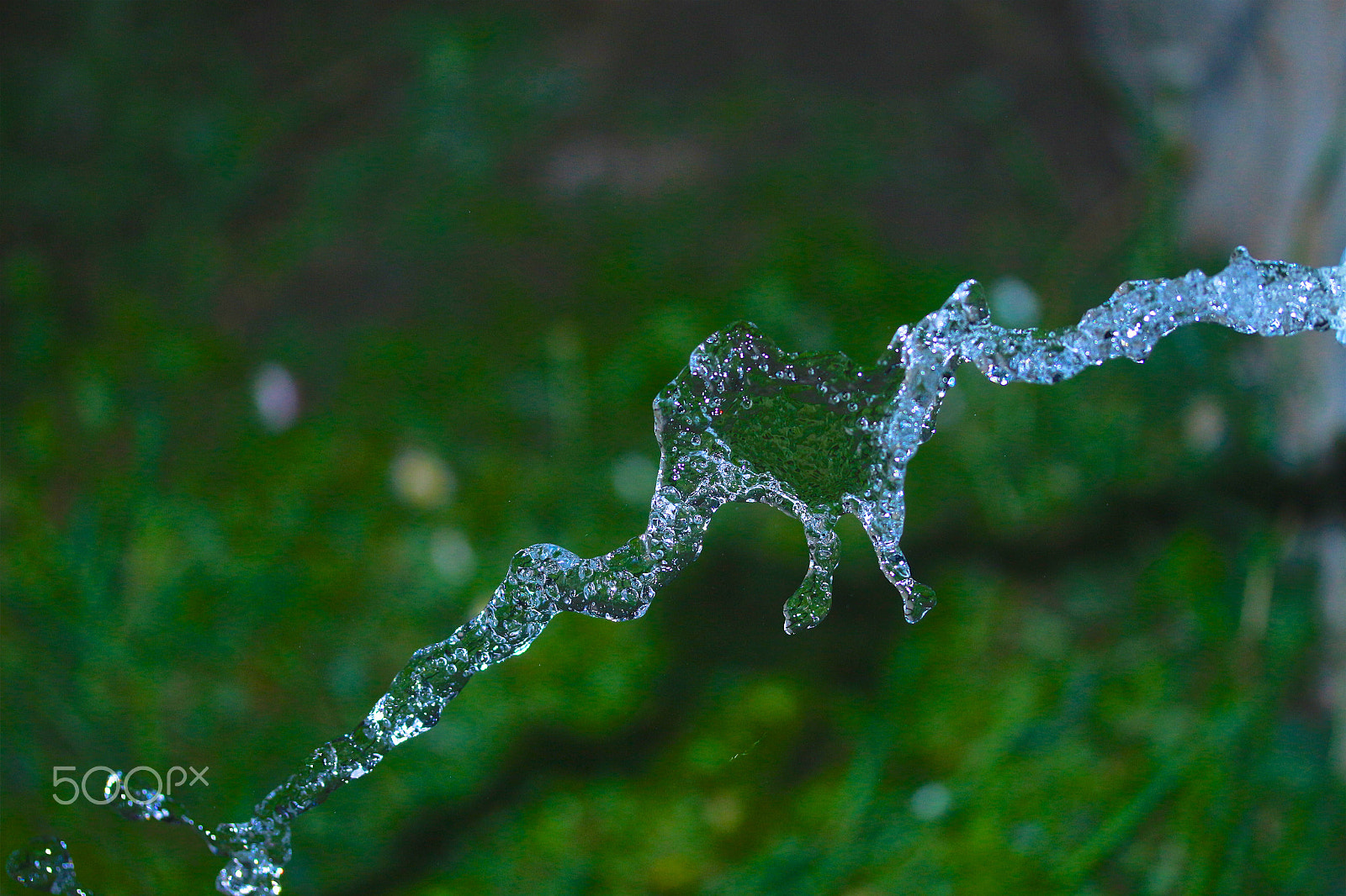 Canon EF-S 60mm F2.8 Macro USM sample photo. Flow photography