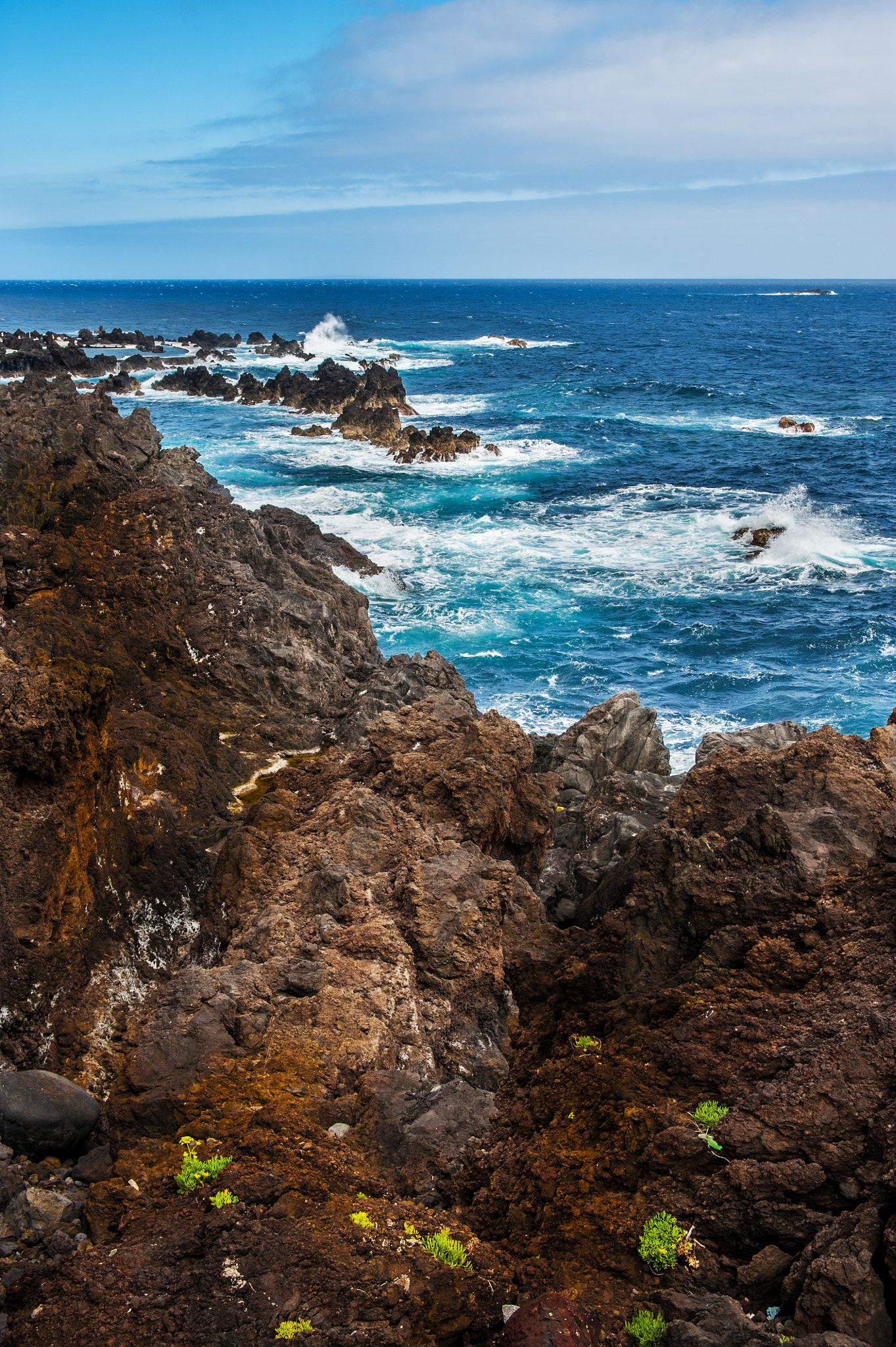 AF Zoom-Nikkor 28-105mm f/3.5-4.5D IF sample photo. Madeira trip photography