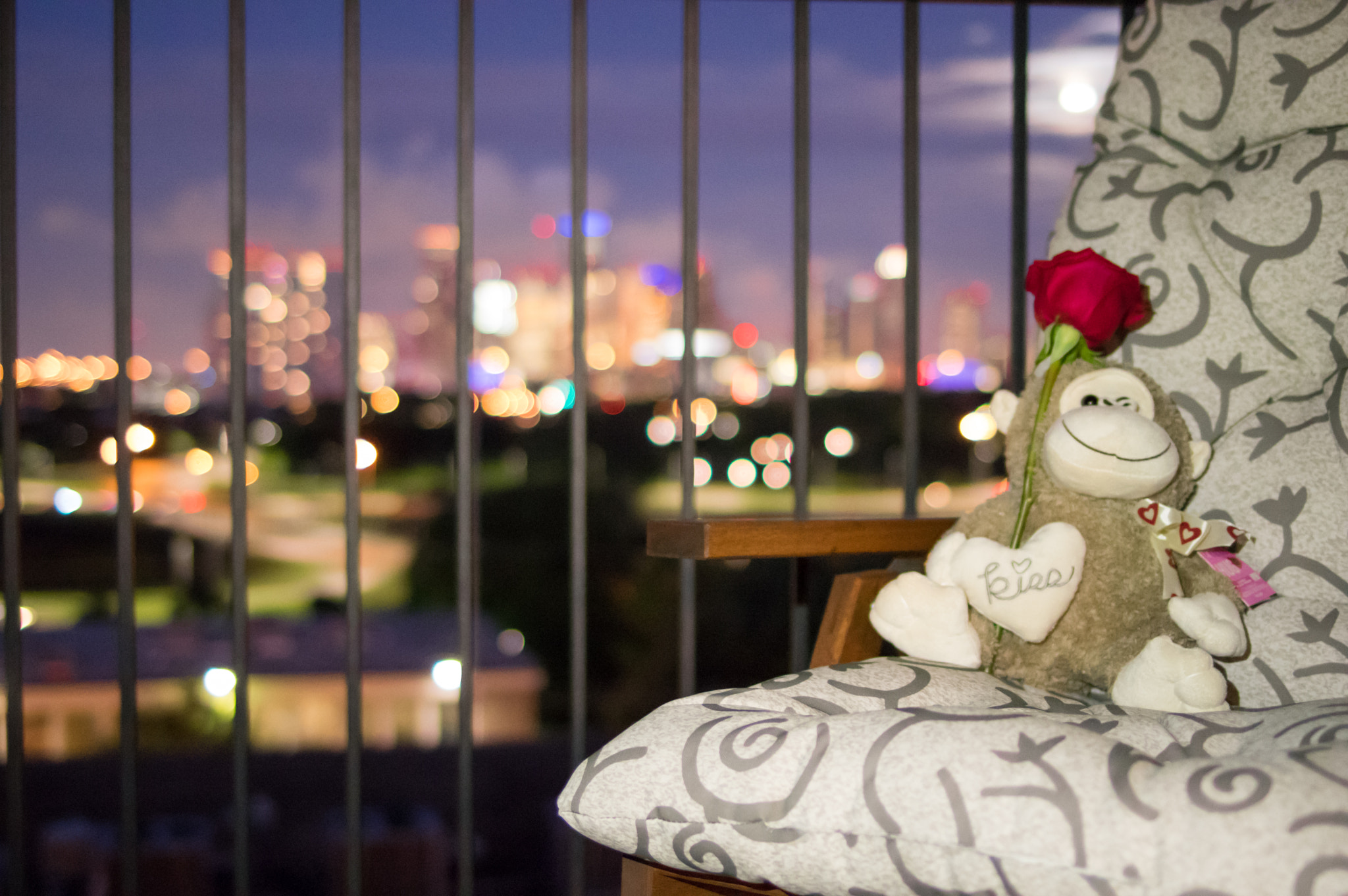 Pentax smc FA 31mm F1.8 AL Limited sample photo. Love monkey !! photography