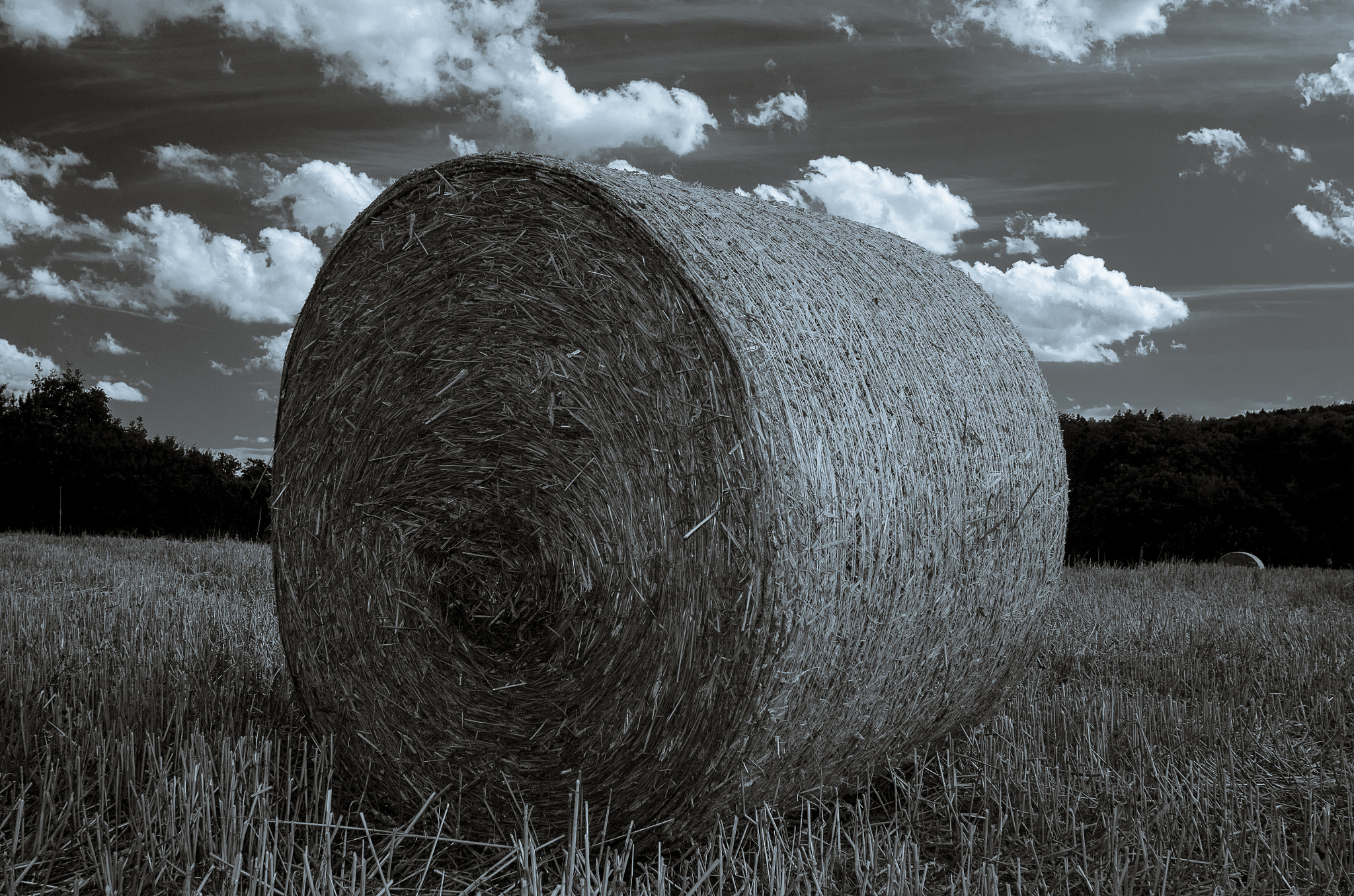 Nikon AF Nikkor 24mm F2.8D sample photo. Summer fields in germany photography