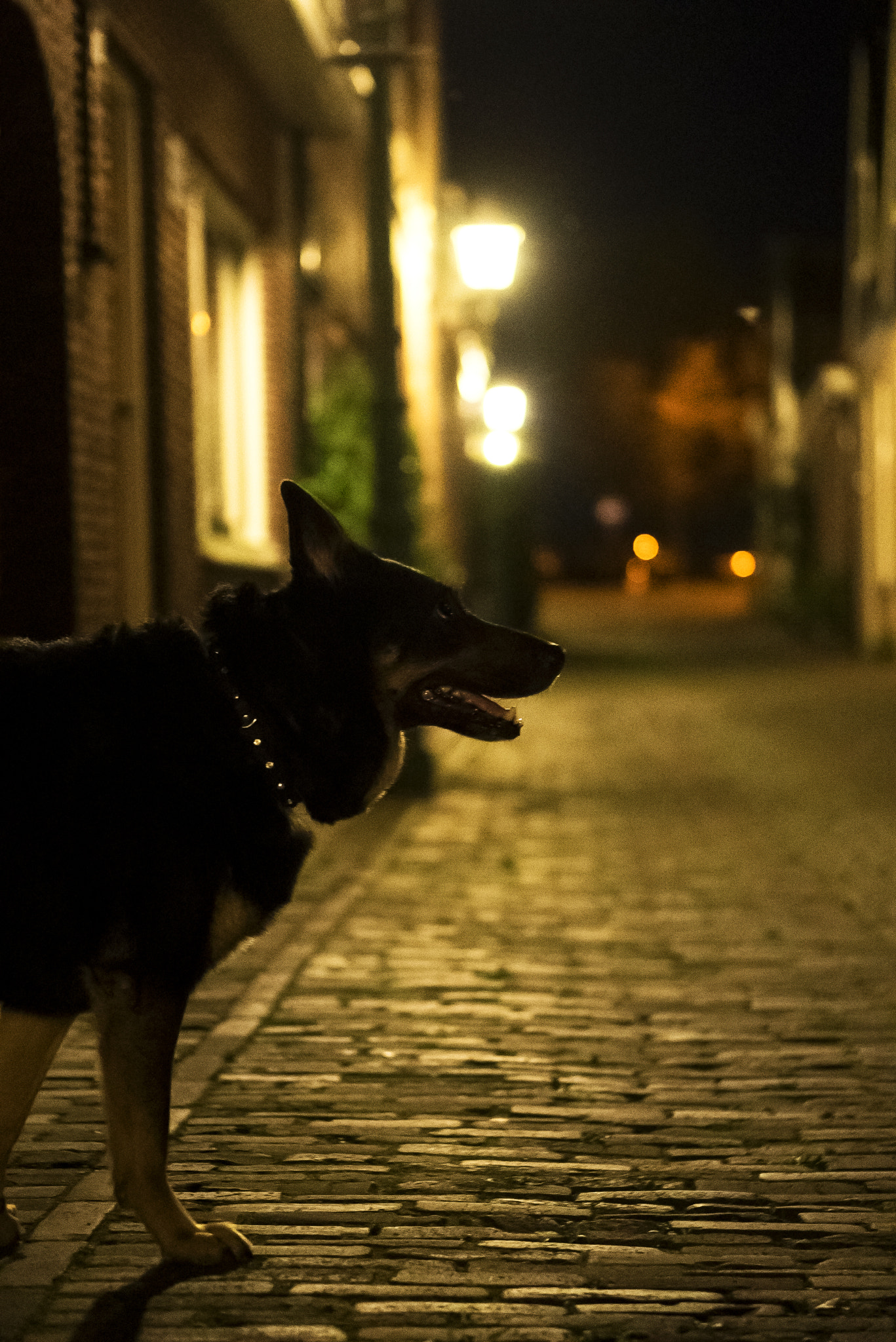 E 50mm F1.8 OSS sample photo. Into the unknown photography