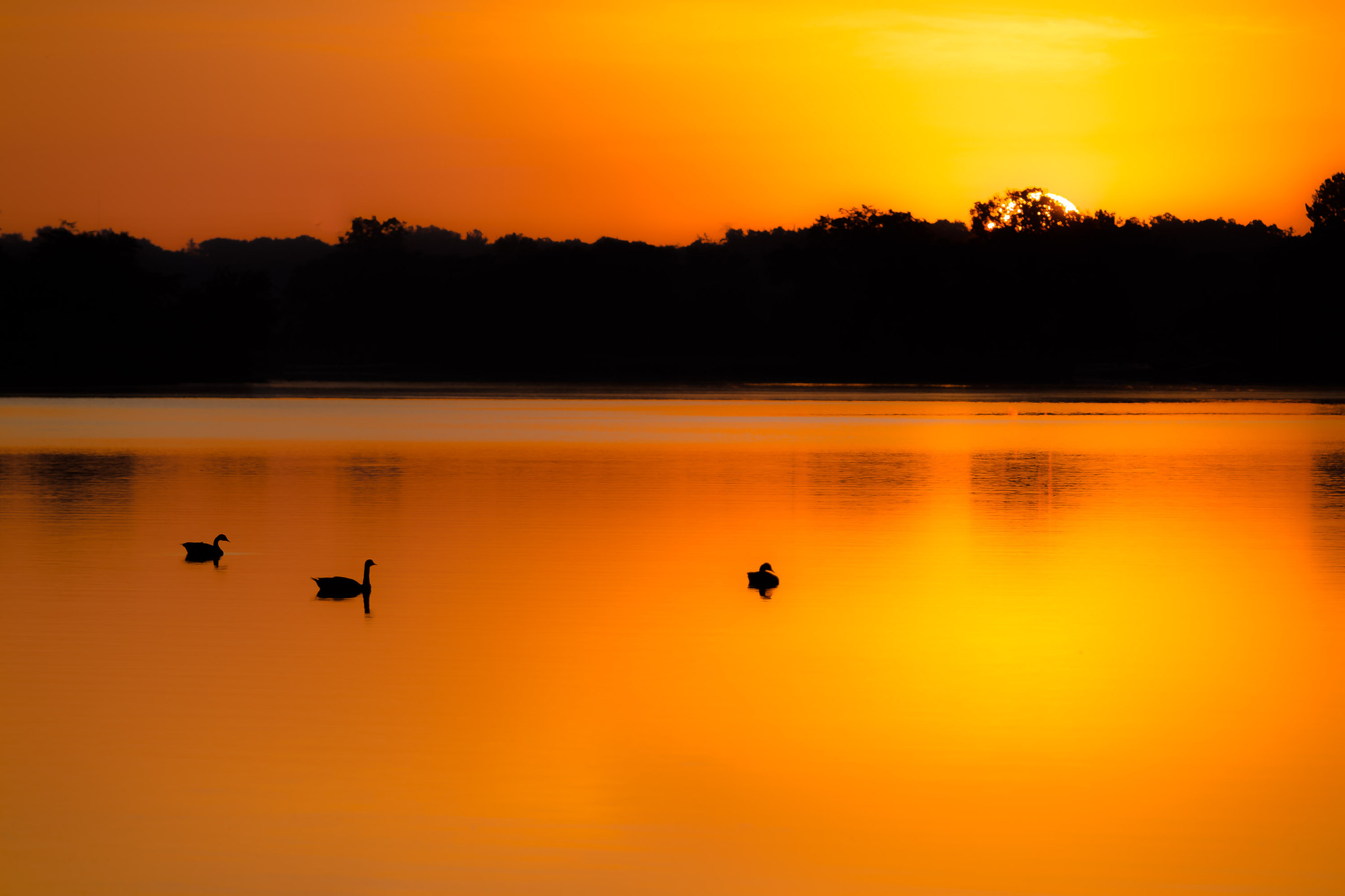 Canon EF 70-200mm F2.8L IS II USM sample photo. Smooth river sunrise. photography