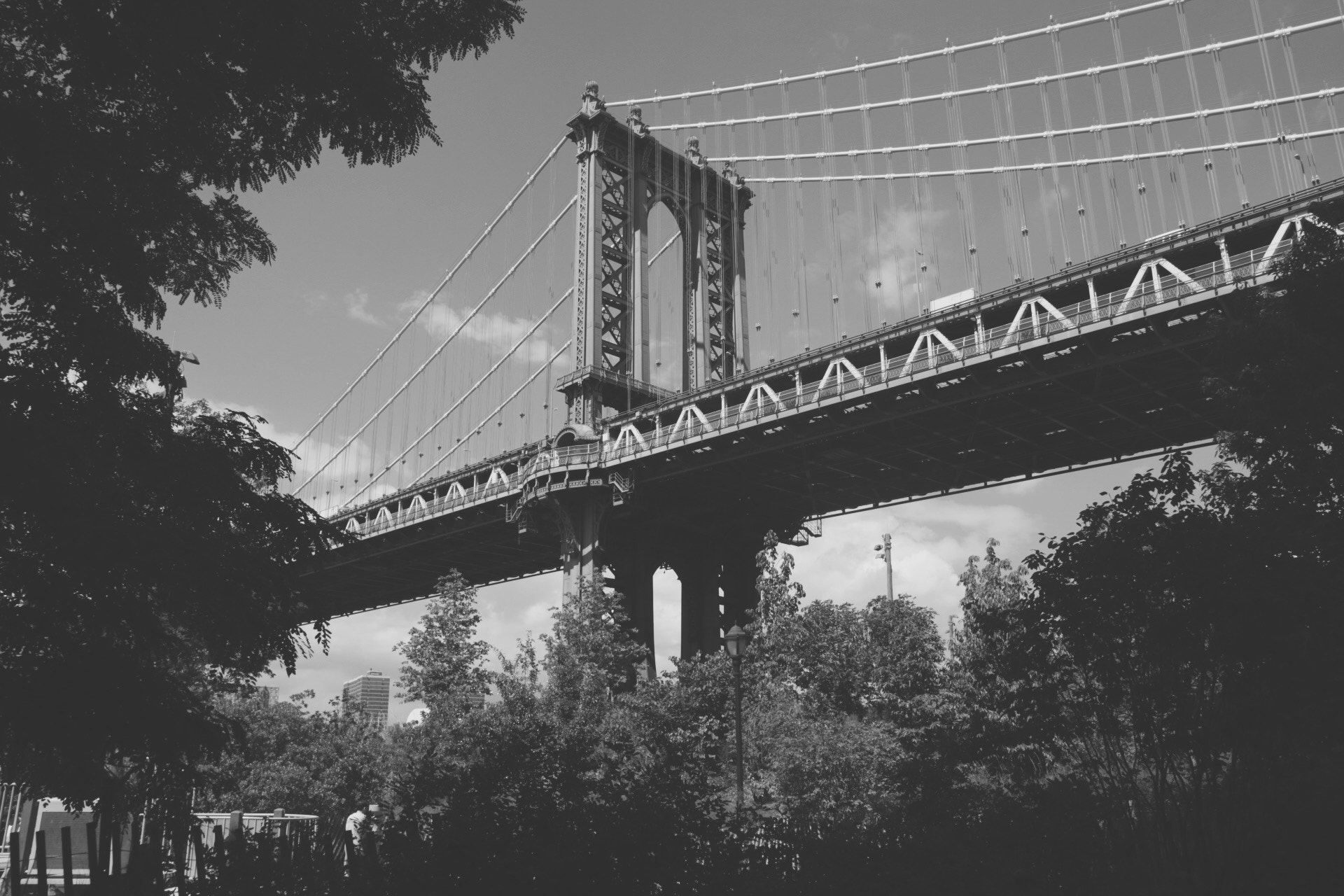 Canon 17-50mm sample photo. Dumbo photography