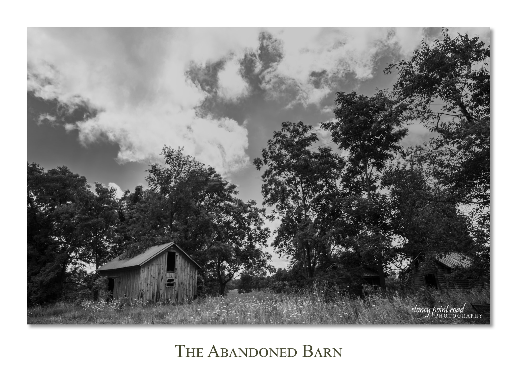 Canon EOS 550D (EOS Rebel T2i / EOS Kiss X4) sample photo. Old barns photography