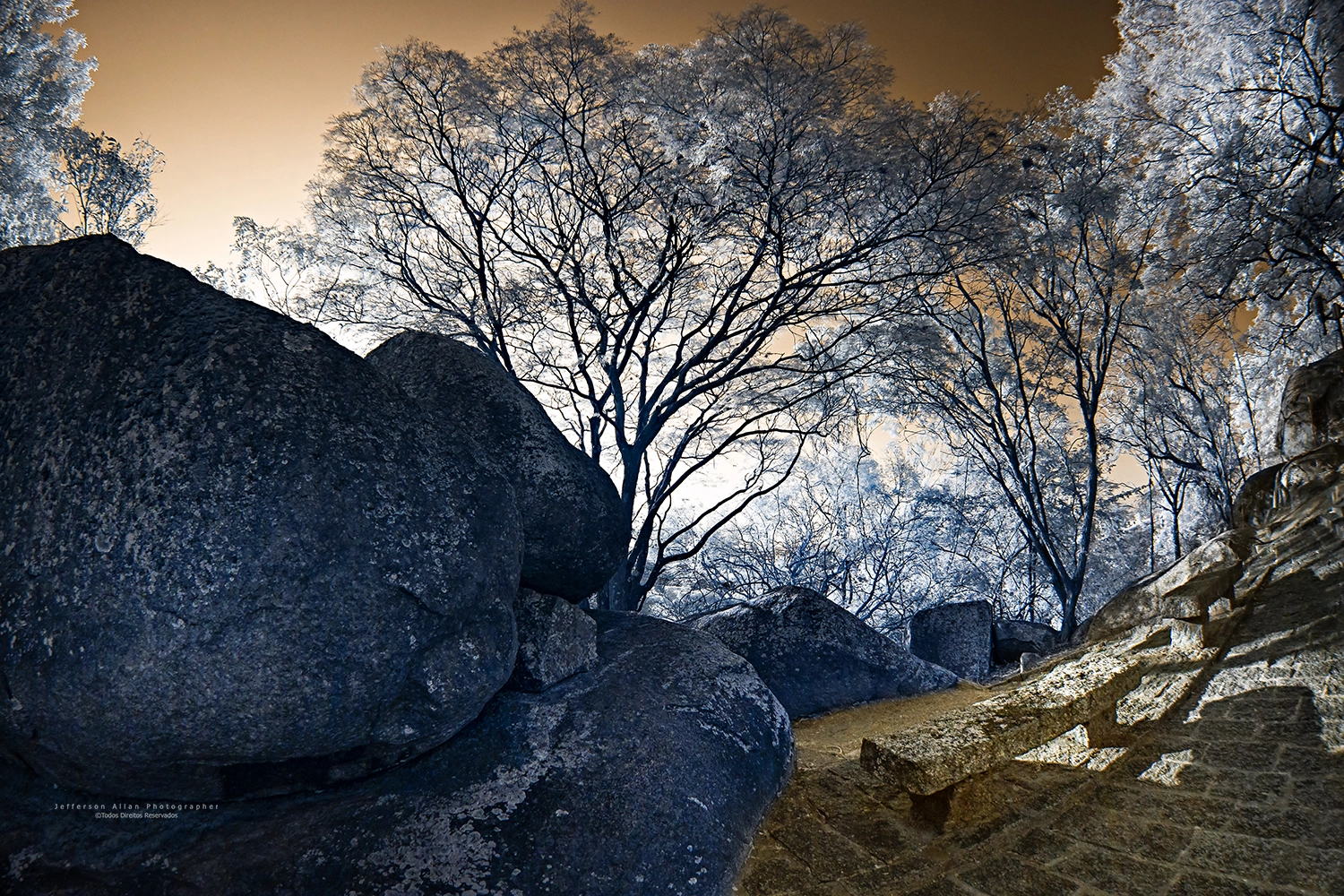 Canon EF 8-15mm F4L Fisheye USM sample photo. Infrared fisheye photography