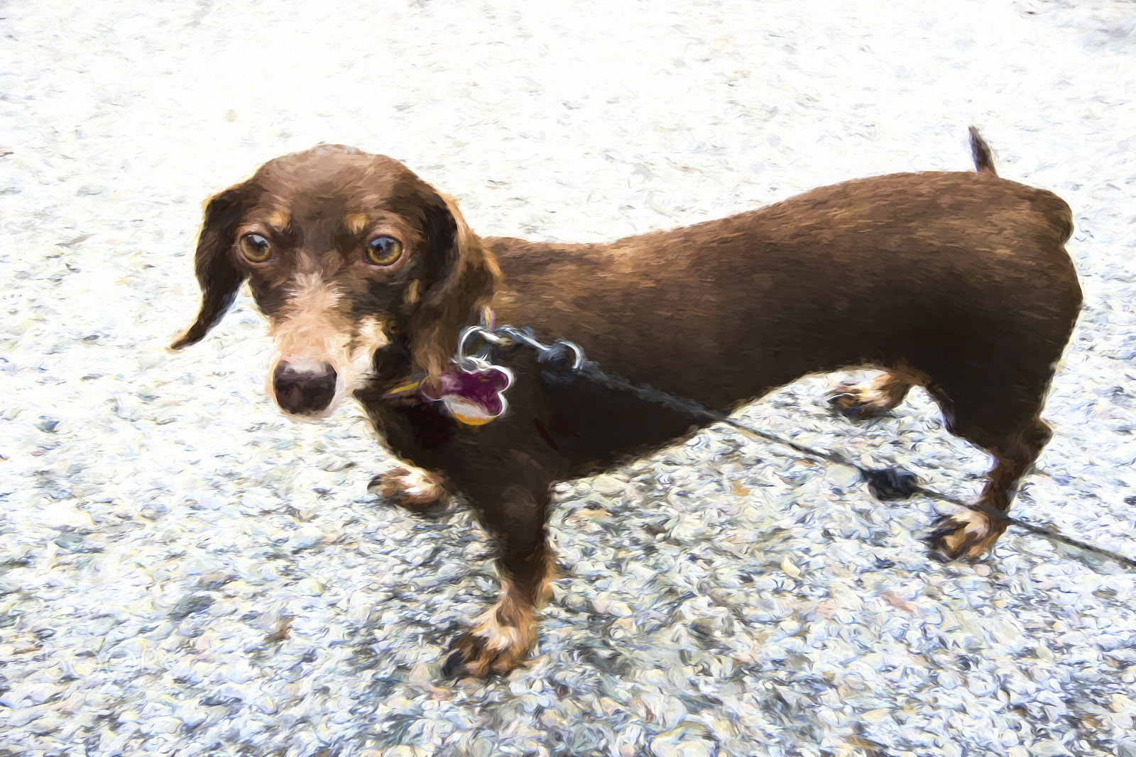 Canon EOS-1D X Mark II sample photo. Hot dog reni 10660 photography