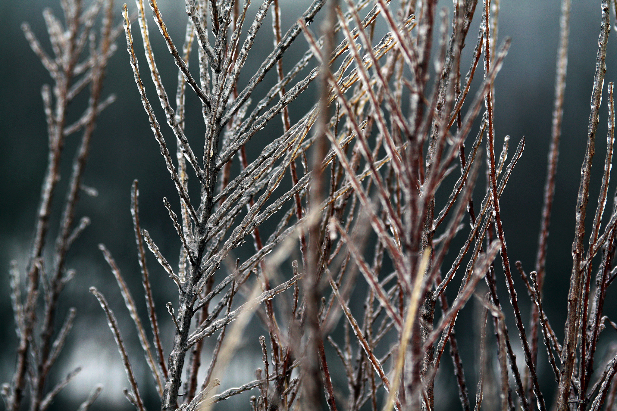 Canon EF 28-105mm f/3.5-4.5 USM sample photo. Img photography
