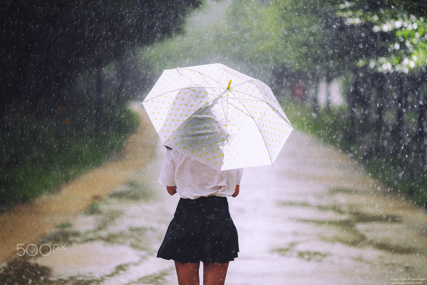 Canon EF 135mm F2L USM sample photo. Heavy rain photography