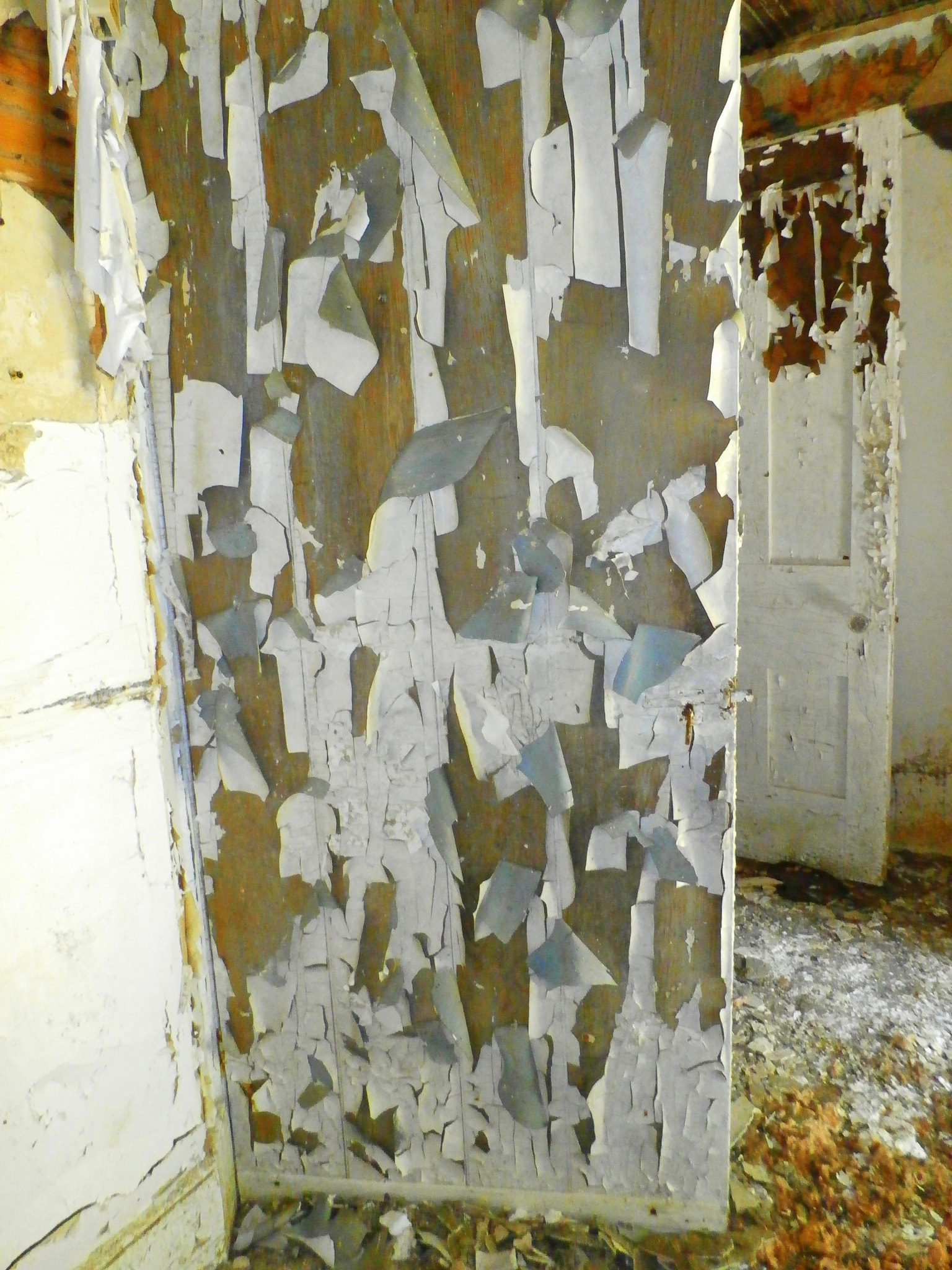 Olympus SZ-15,DZ-100 sample photo. Peeling paint on old interior doors photography