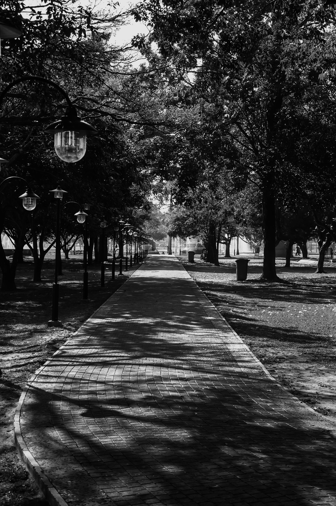 Nikon D50 sample photo. The path photography