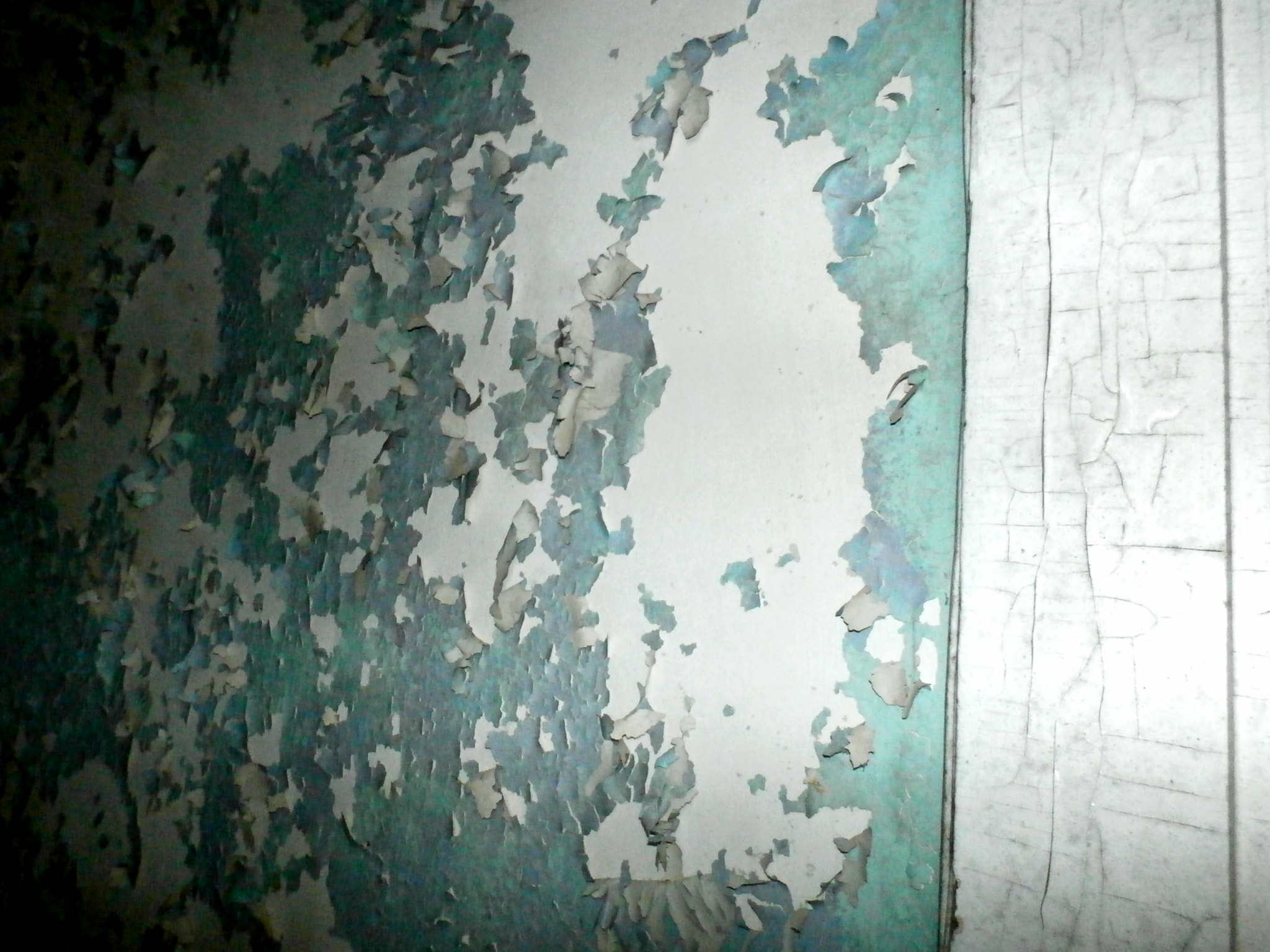 Olympus SZ-15,DZ-100 sample photo. This old house photography