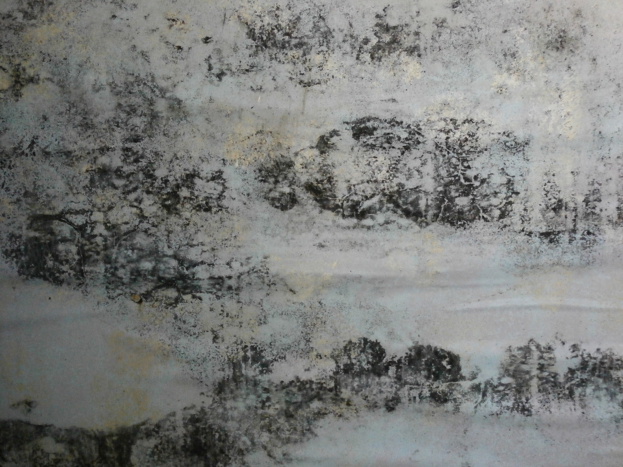 Olympus SZ-15,DZ-100 sample photo. Moldy wall in an abandon house photography