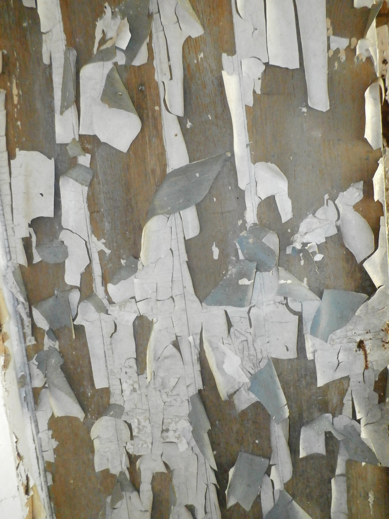 Olympus SZ-15,DZ-100 sample photo. White peeling paint in an abandon house photography