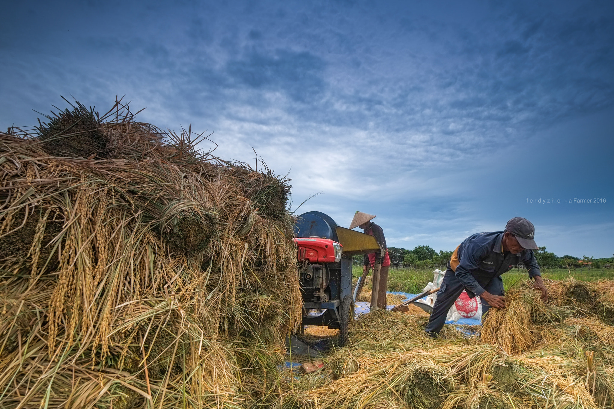 Fujifilm XF 10-24mm F4 R OIS sample photo. Harvest has arrived photography