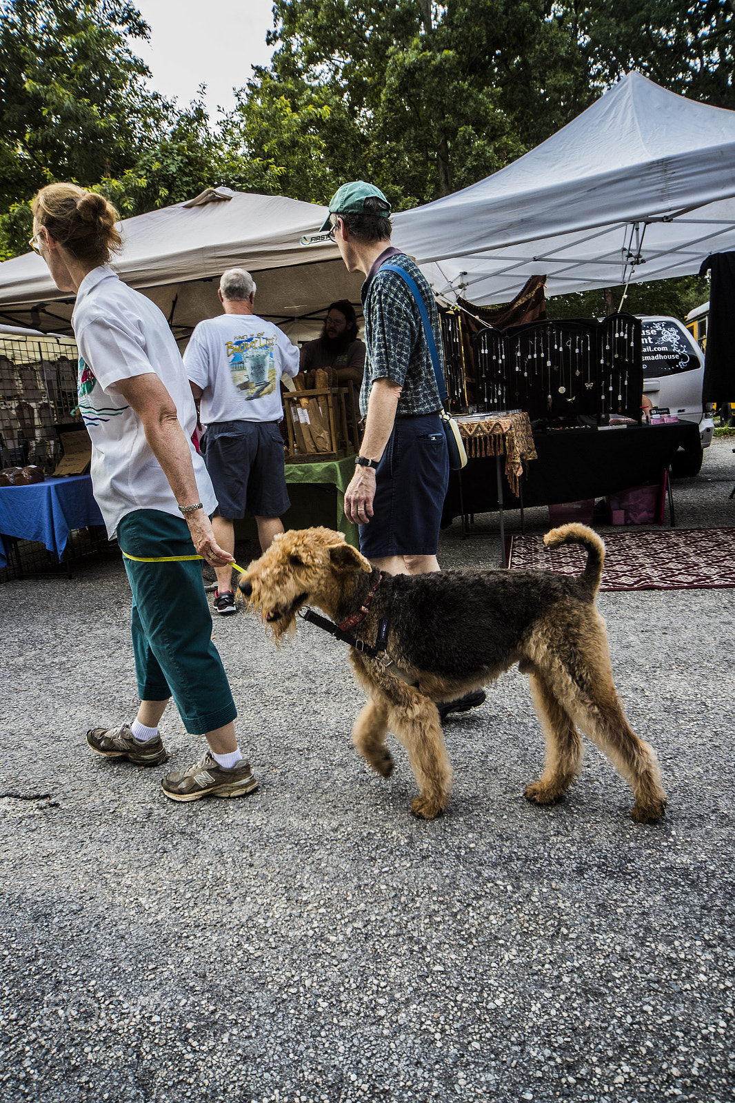 Canon EOS-1D X Mark II sample photo. Walking the dog at the market 10488v photography