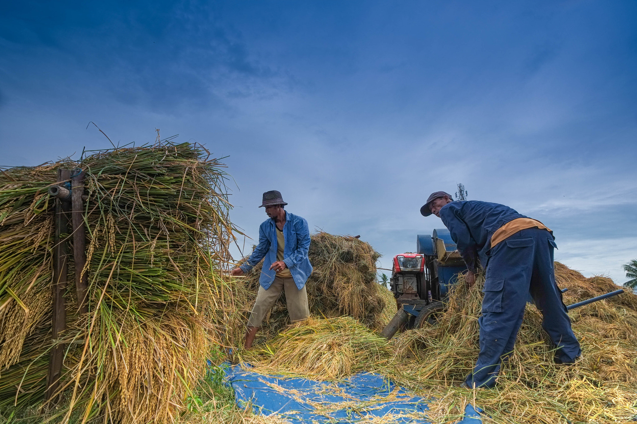 Fujifilm XF 10-24mm F4 R OIS sample photo. Traditional farmers photography