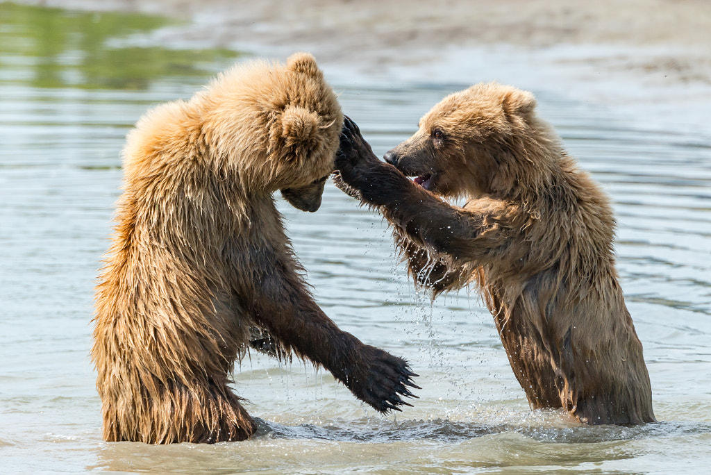 Left Hook by Ian Stotesbury on 500px.com