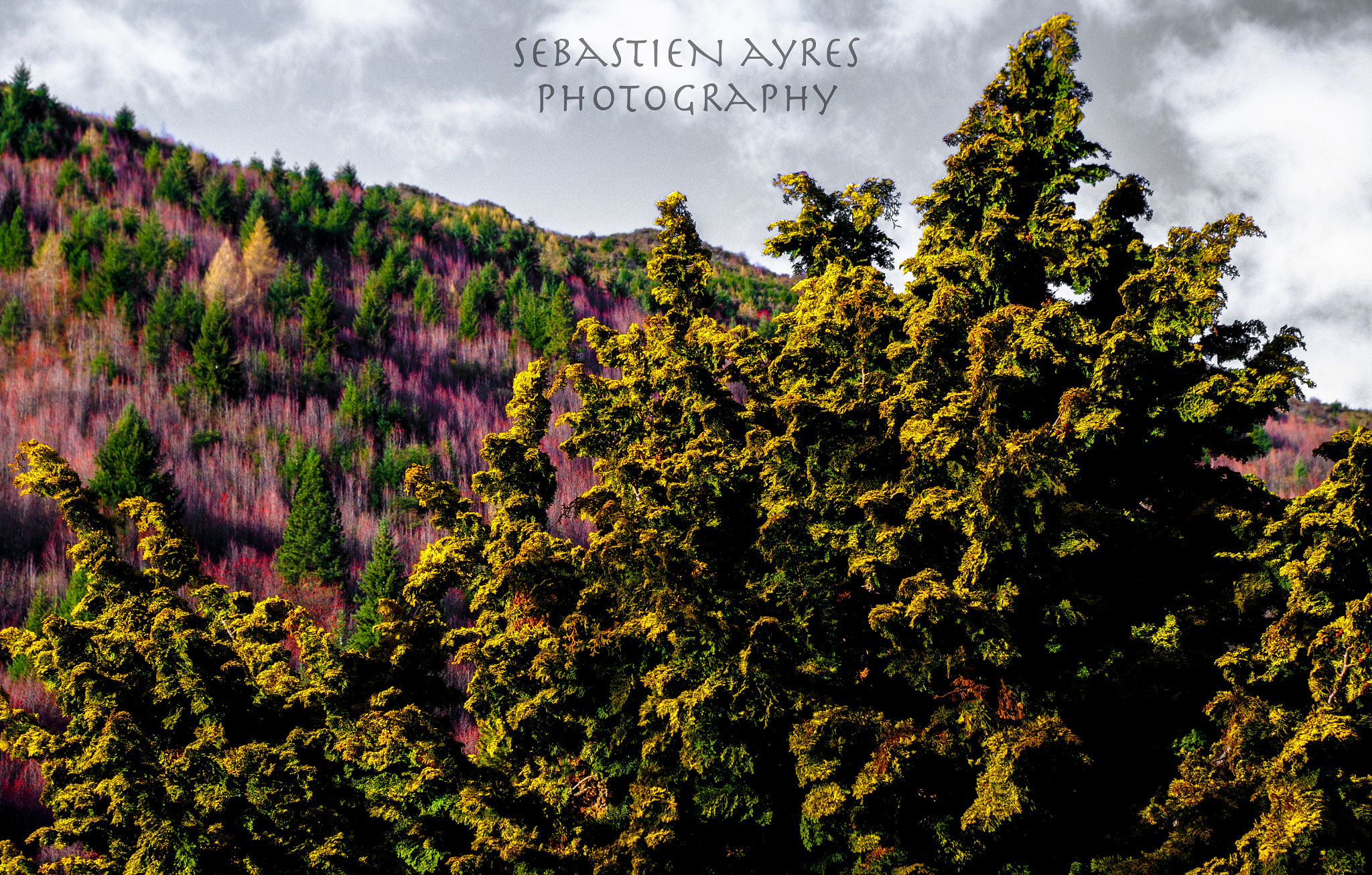 Pentax K-S2 sample photo. Rainbow hills photography