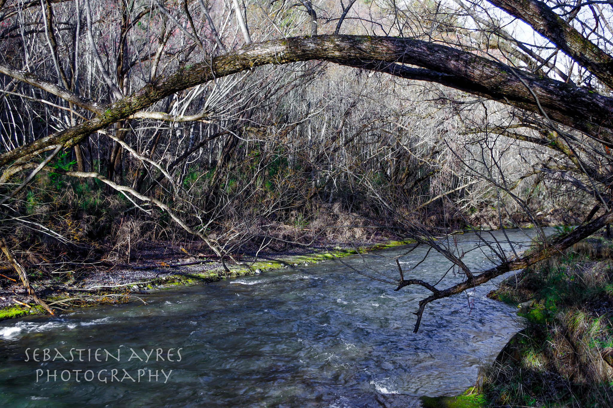 Pentax K-S2 sample photo. Natural arch photography