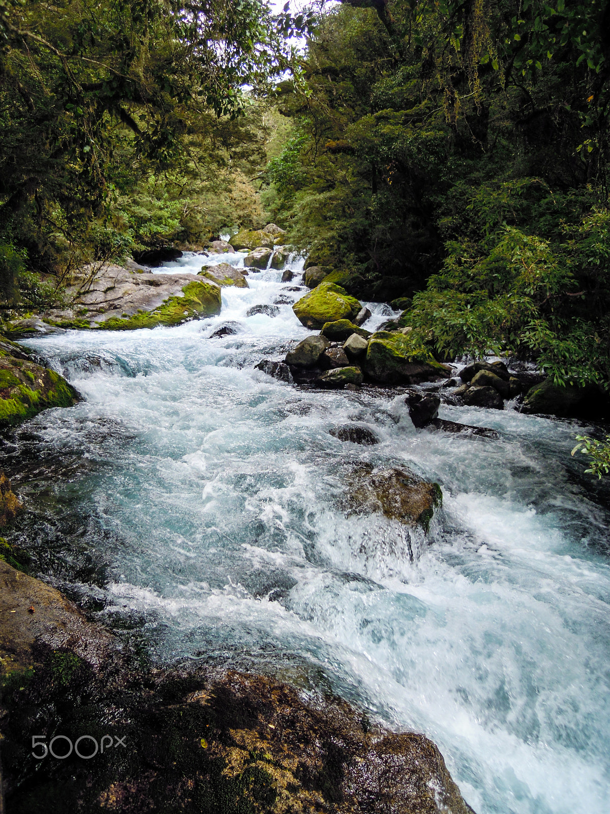 Nikon Coolpix S5100 sample photo. Beautiful and impressive river on the way to lake photography