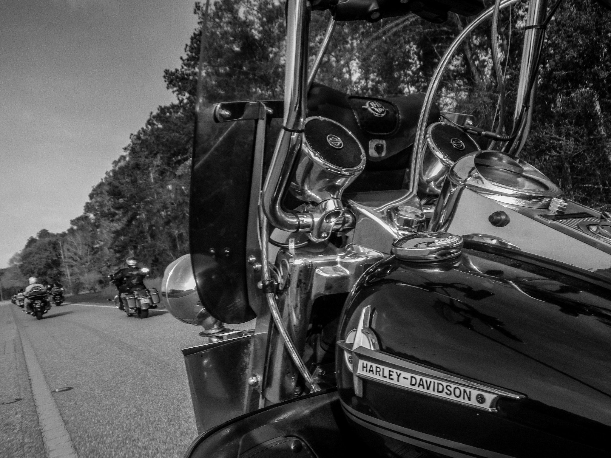 Pentax Optio WG-2 sample photo. ©jnm road king photography