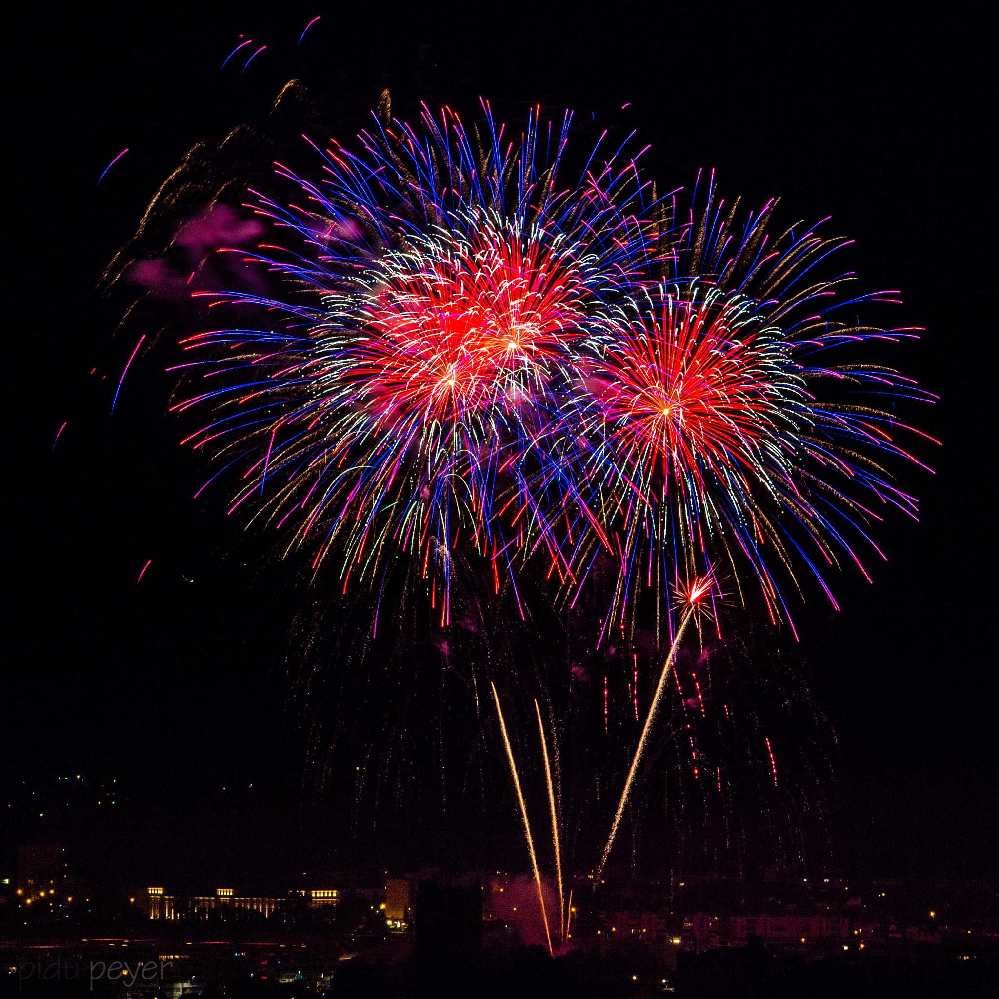 Nikon AF-S Nikkor 24-70mm F2.8E ED VR sample photo. Fireworks 2 flowers photography