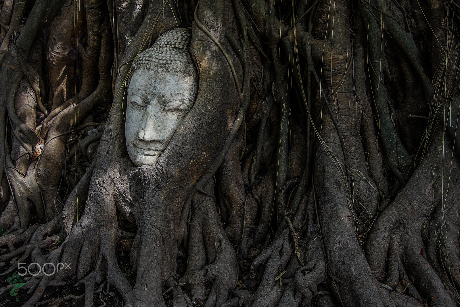 Canon EF-S 10-22mm F3.5-4.5 USM sample photo. The buda photography