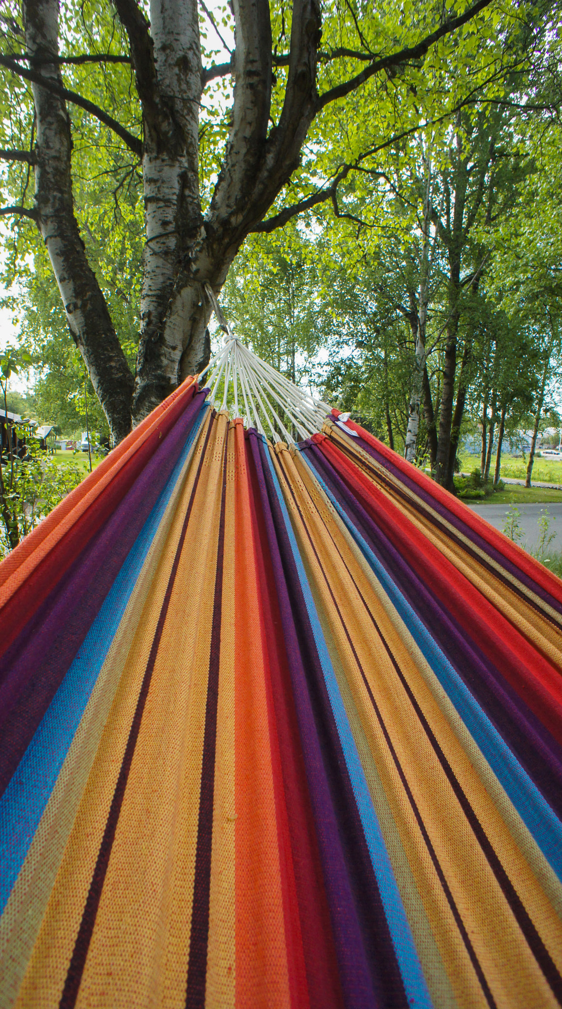 Sony Alpha NEX-5 + Sony E 16mm F2.8 sample photo. Ready hammock photography