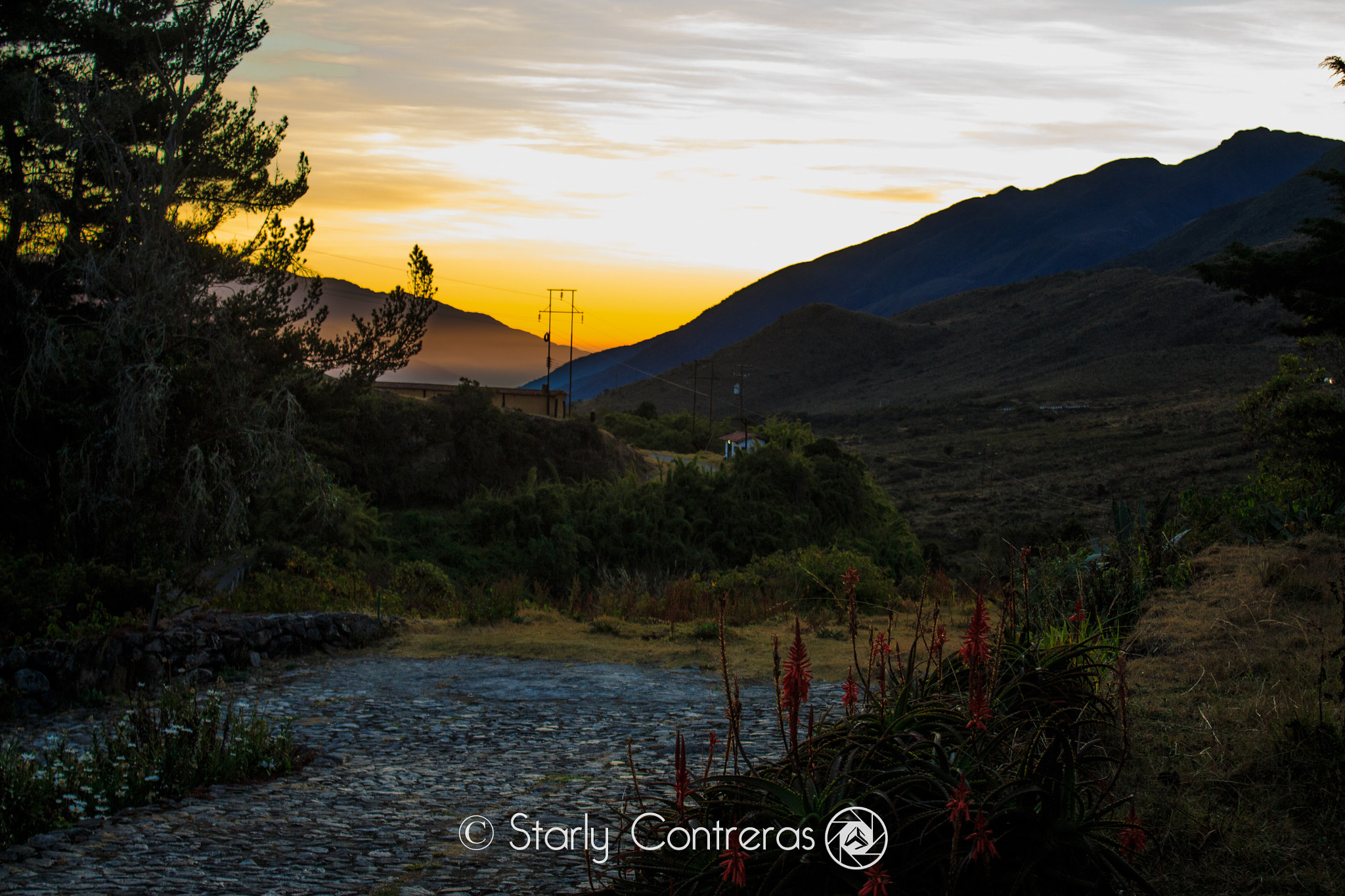 Canon EF-S 18-55mm F3.5-5.6 IS sample photo. @starlycontreras in instagram photography