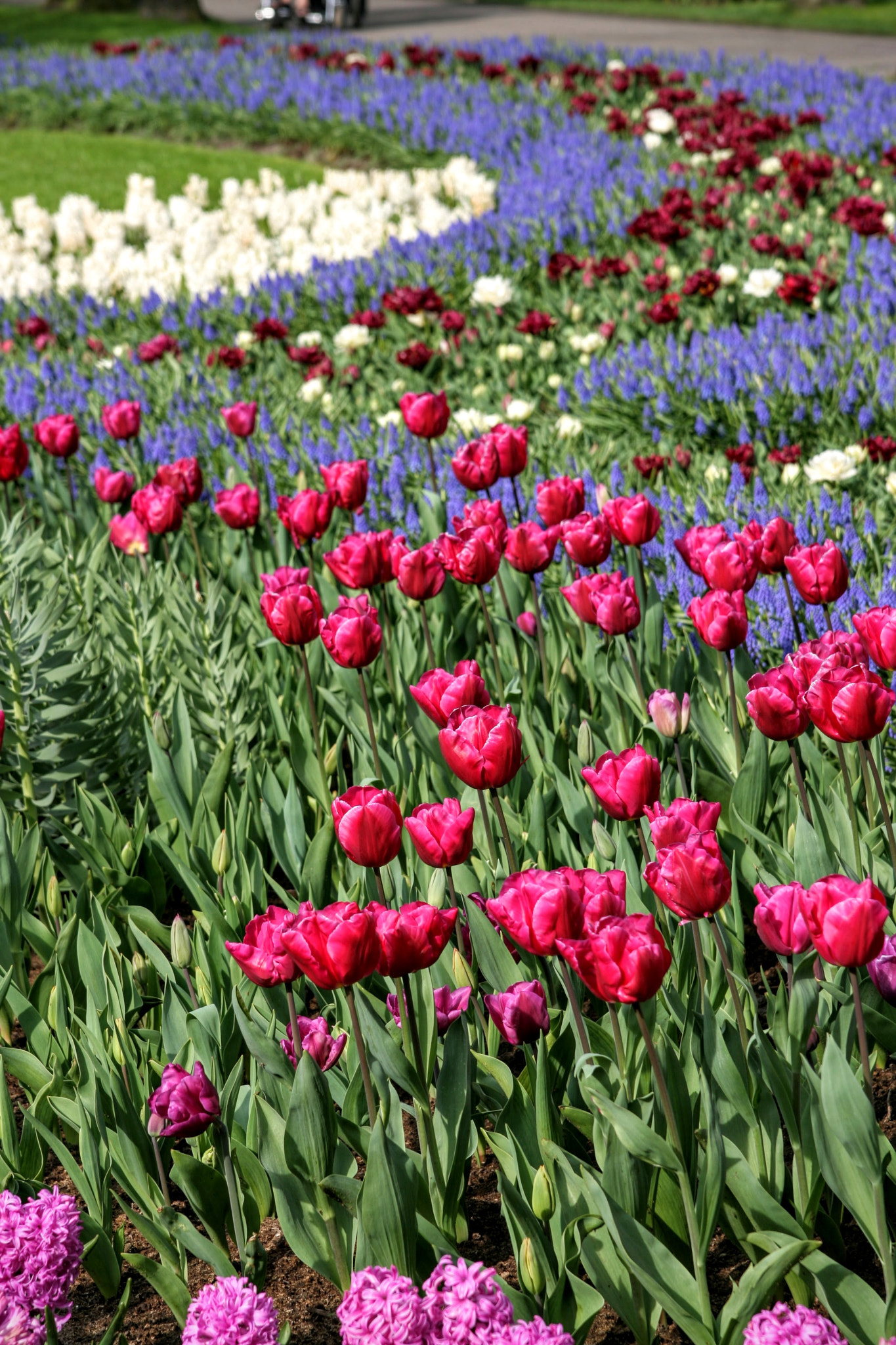 Canon EOS 400D (EOS Digital Rebel XTi / EOS Kiss Digital X) sample photo. Keukenhoff tulip show, amsterdam photography