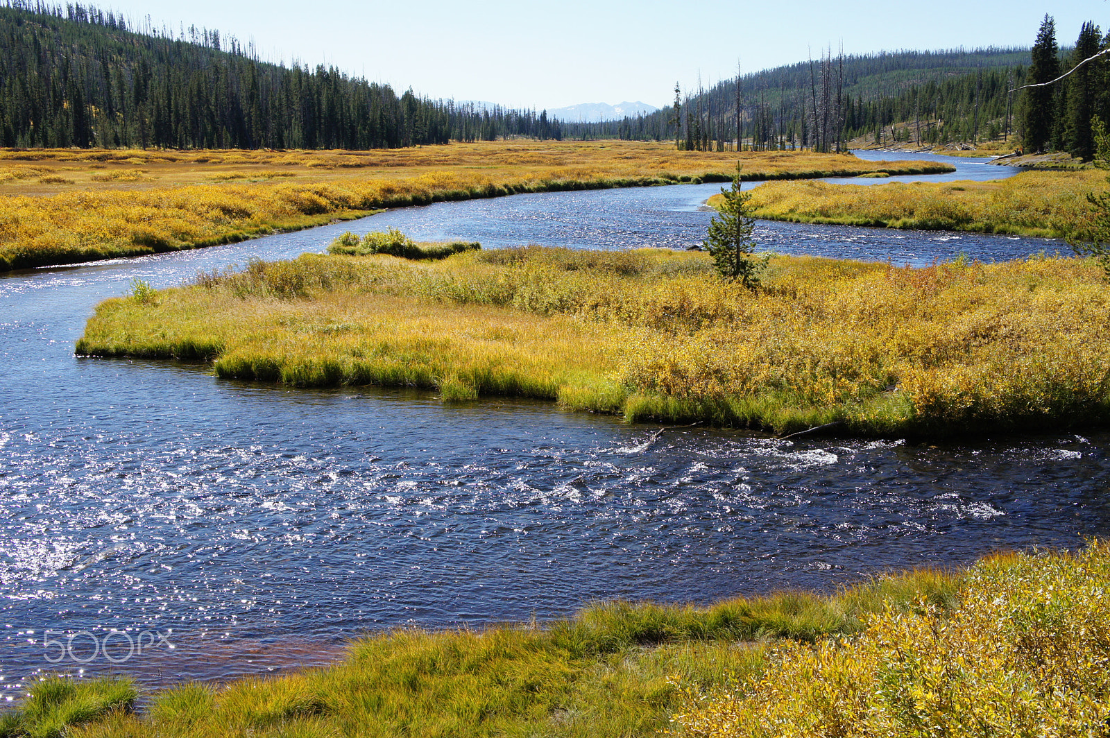 Sony NEX-5C sample photo. Yellow stone national park photography