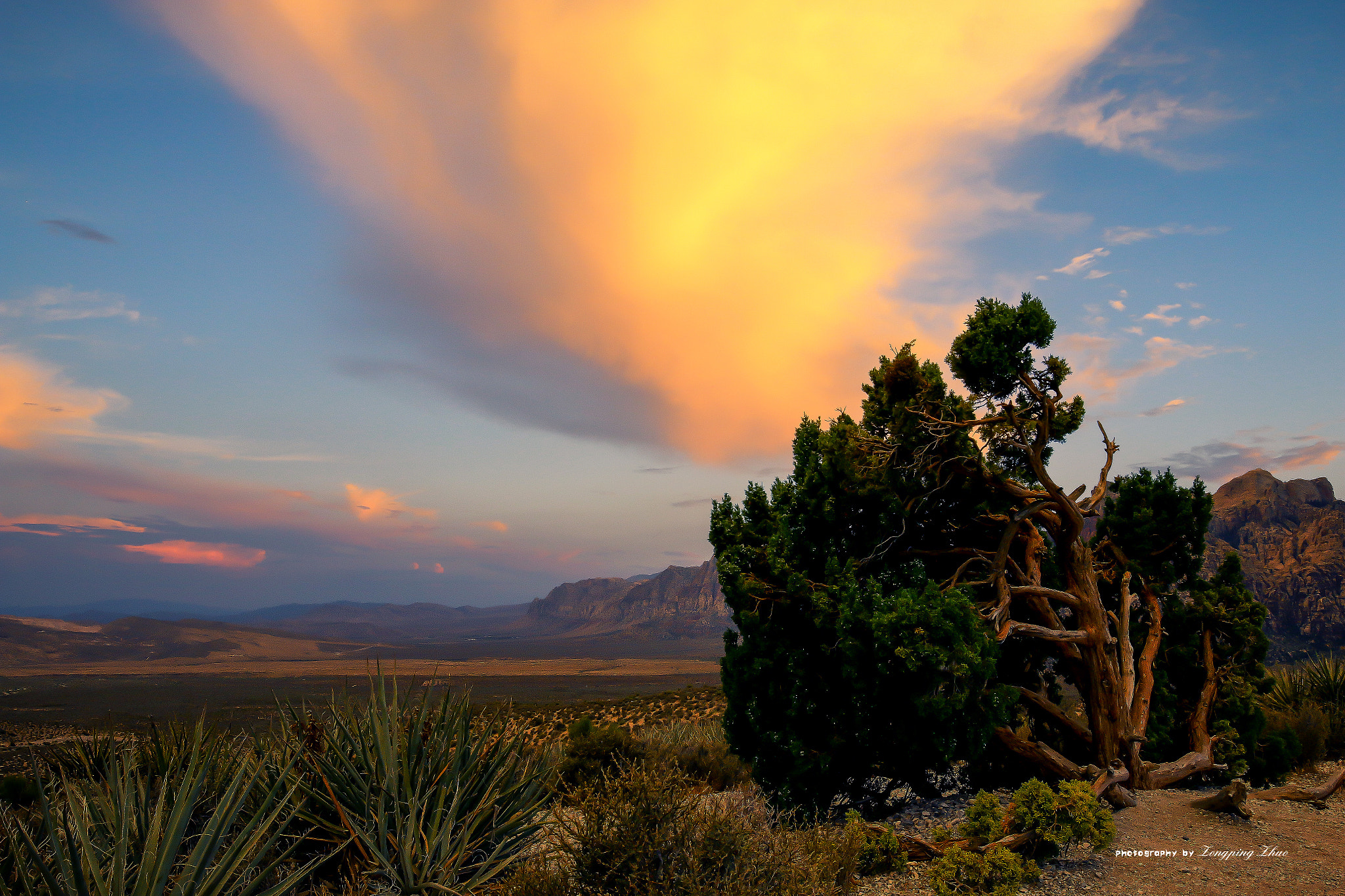 Canon EOS 70D + Canon EF 16-35mm F4L IS USM sample photo. Red rock canyon sunset photography
